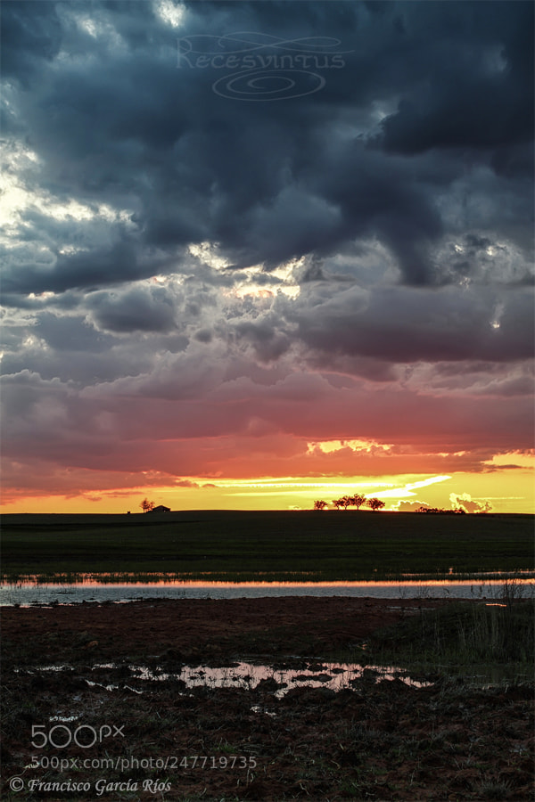 Canon EOS 50D sample photo. The dead marshes. photography