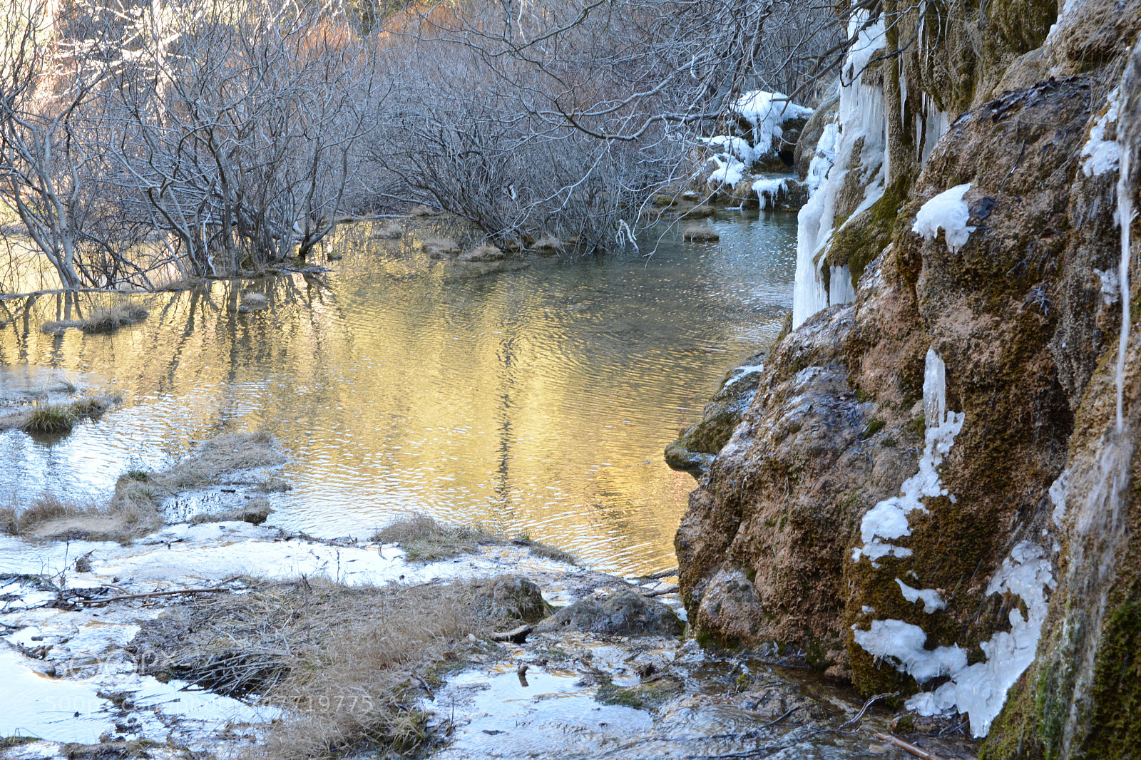 Nikon D7100 sample photo. Golden water photography