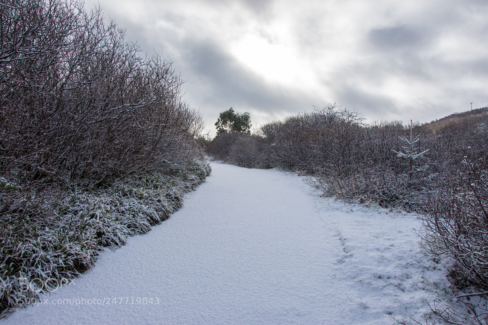 Nikon D7200 sample photo. First steps photography