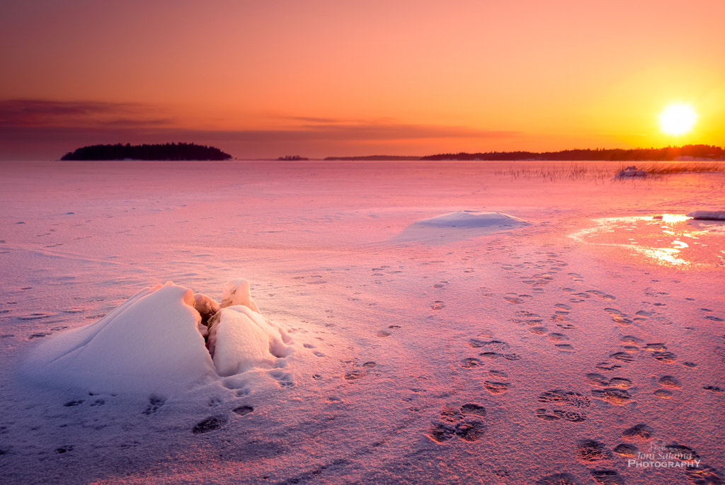 Panasonic Lumix DC-GX850 (Lumix DC-GX800 / Lumix DC-GF9) sample photo. On the ice photography