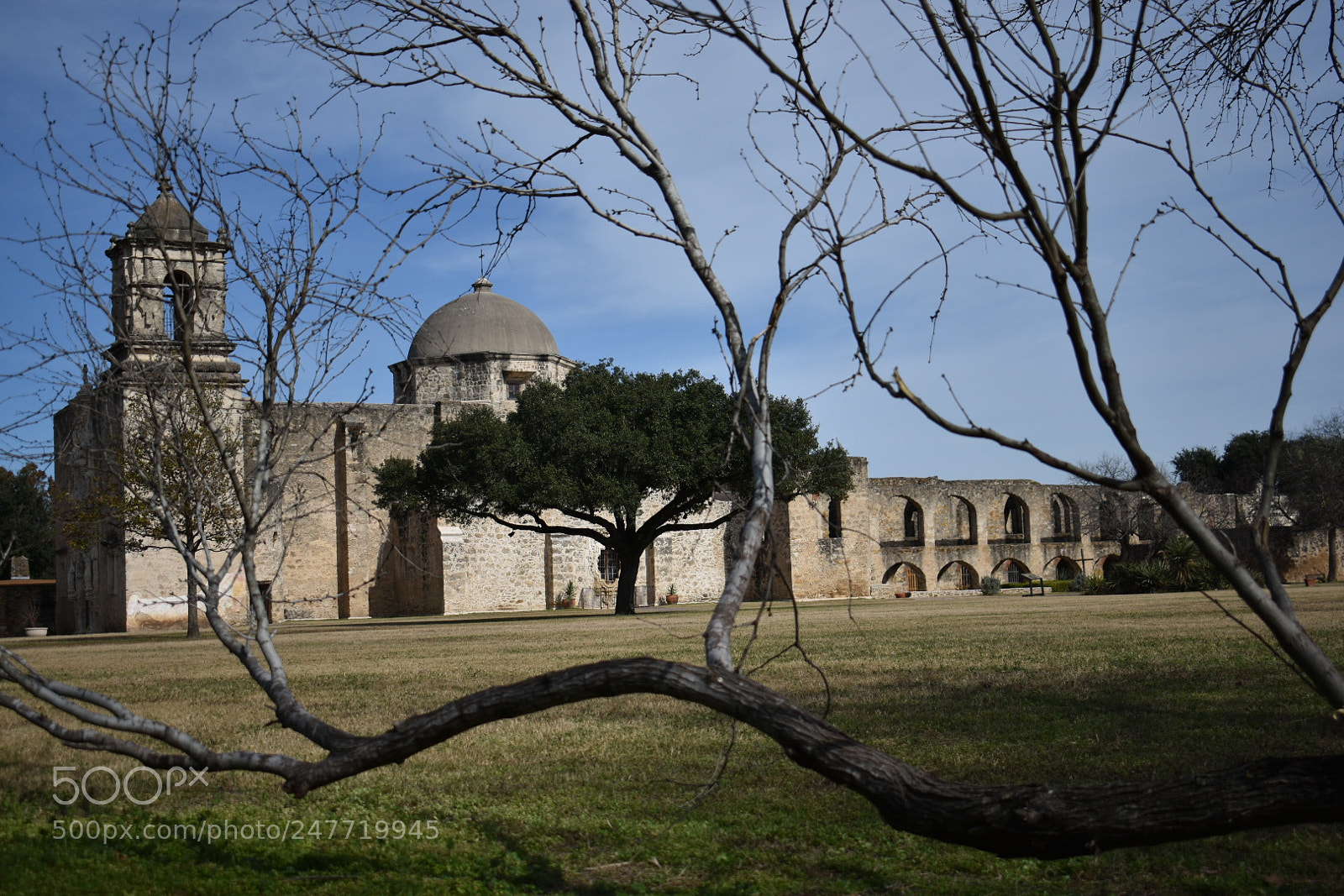 Nikon D3400 sample photo. Mission san josé photography