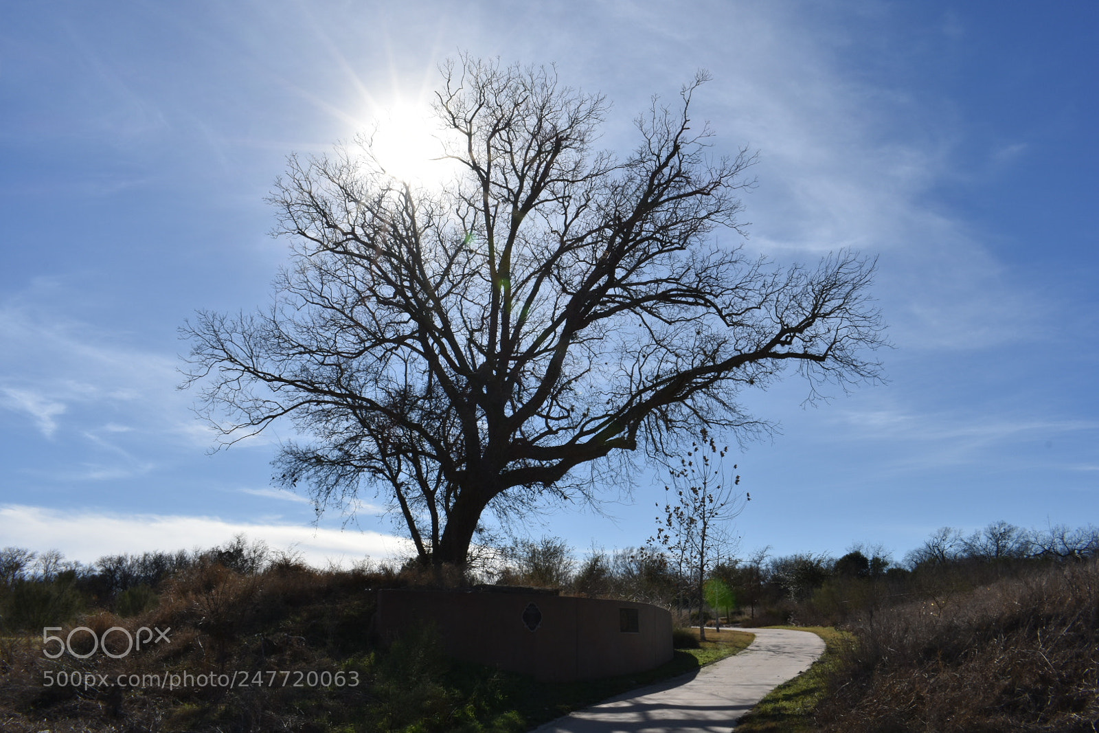 Nikon D3400 sample photo. Blue skies photography