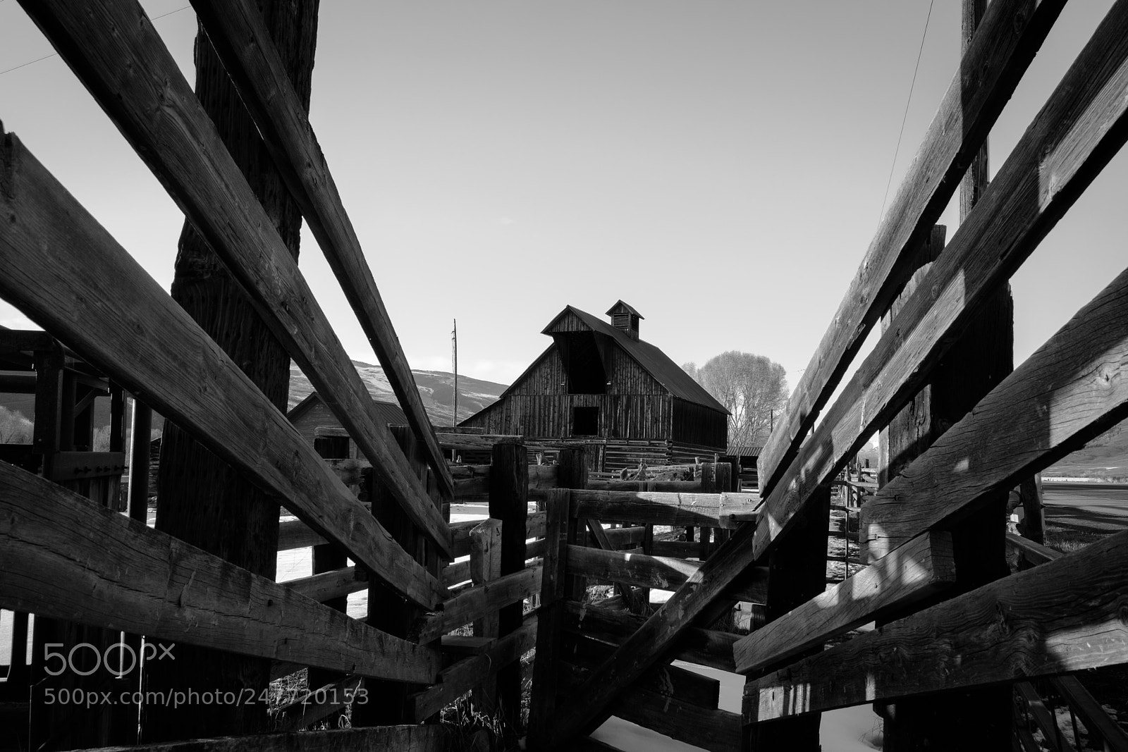 Fujifilm X-T2 sample photo. Outta the chute in photography