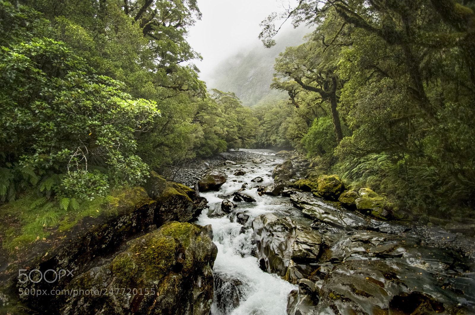 Pentax K-3 II sample photo. Fiordland photography