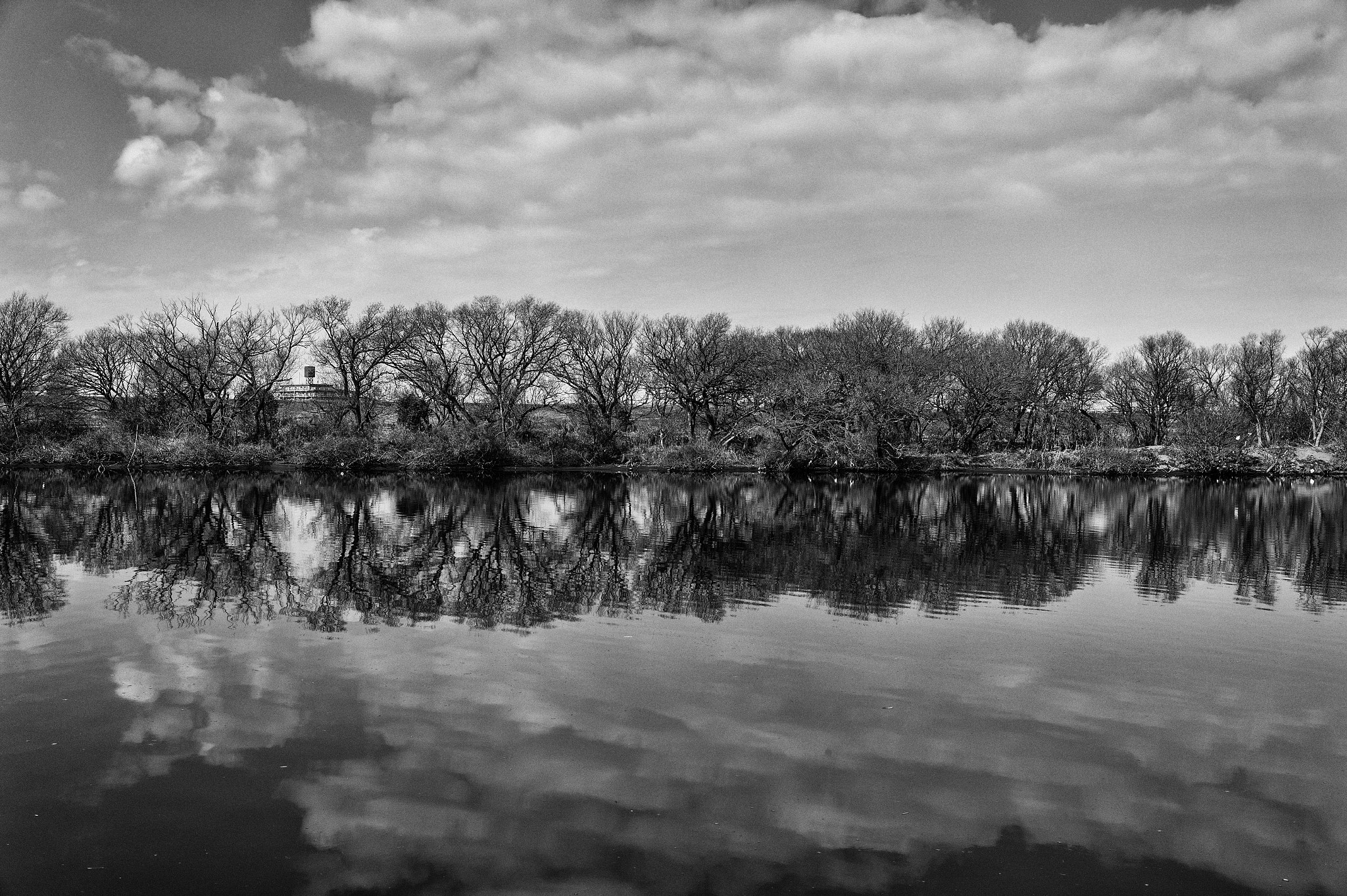 Leica M-Monochrom sample photo. Edo river photography