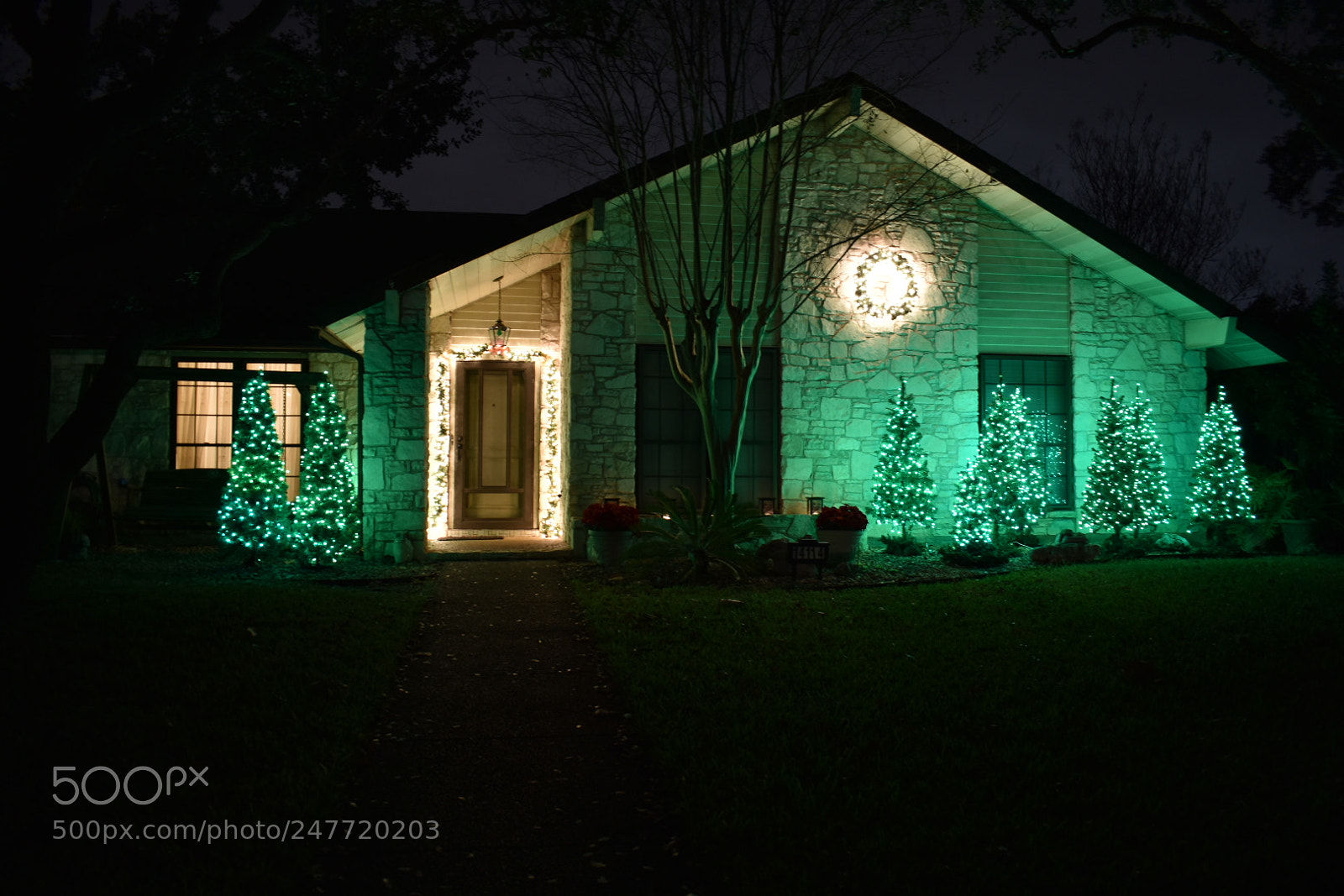 Nikon D3400 sample photo. Christmas light tranquility photography