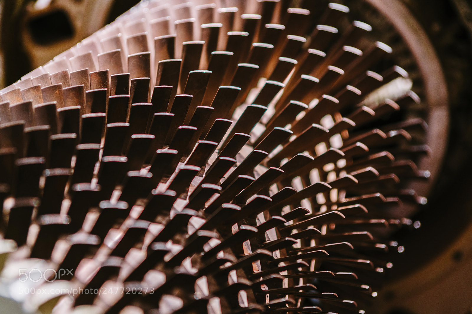 Sony a7R II sample photo. Exhibits of the world photography