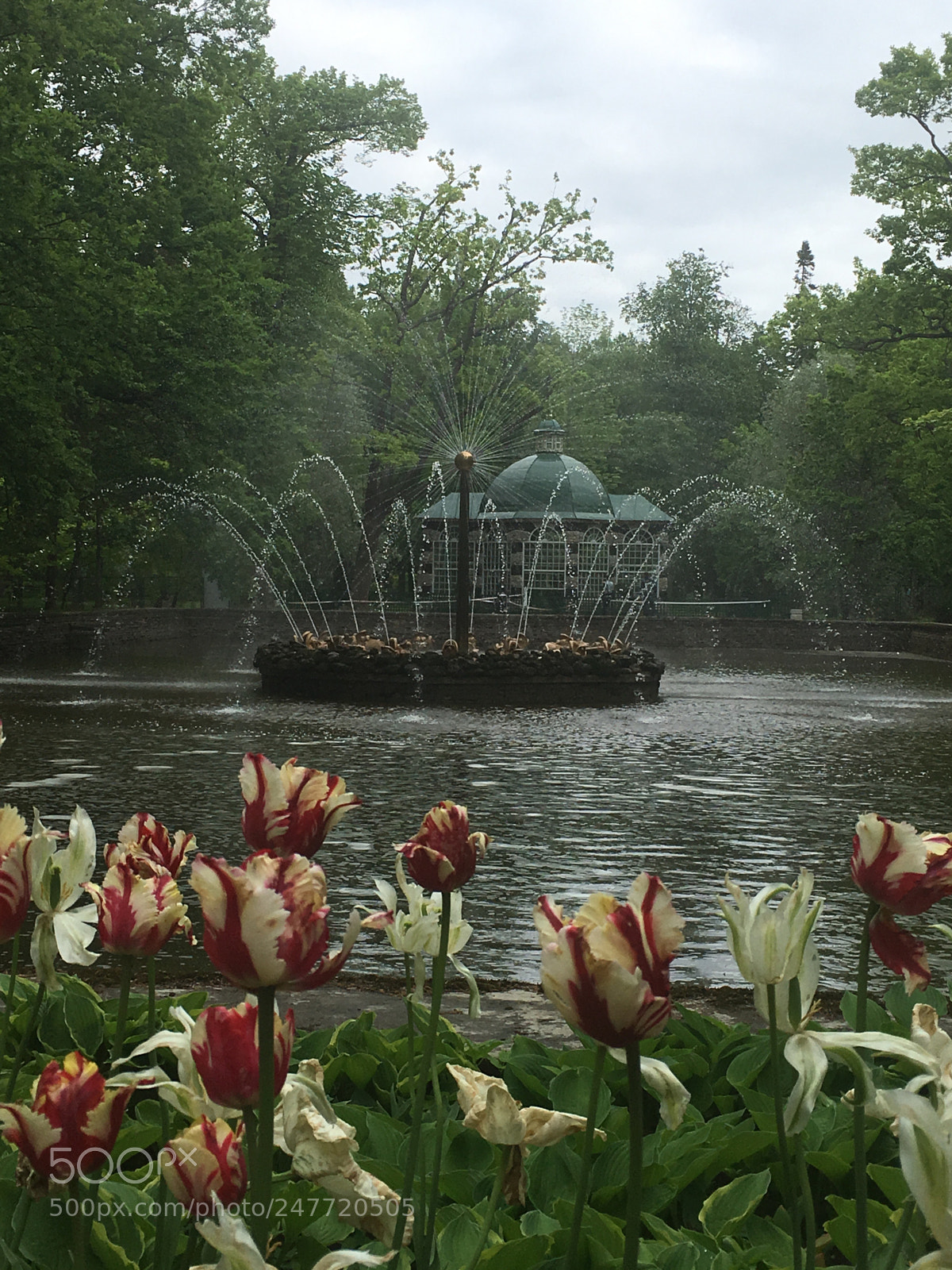 Apple iPhone 6s Plus sample photo. Peterhof palace fountain photography