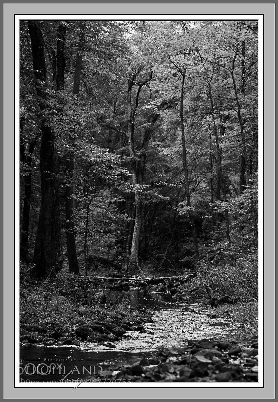 Sony a7 II sample photo. Otter creek b&w photography