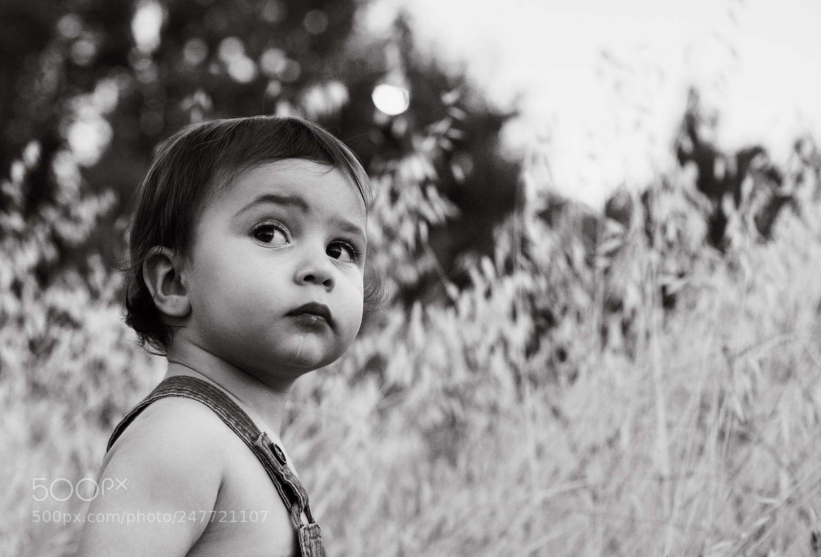 Canon EOS 5D sample photo. My little photography