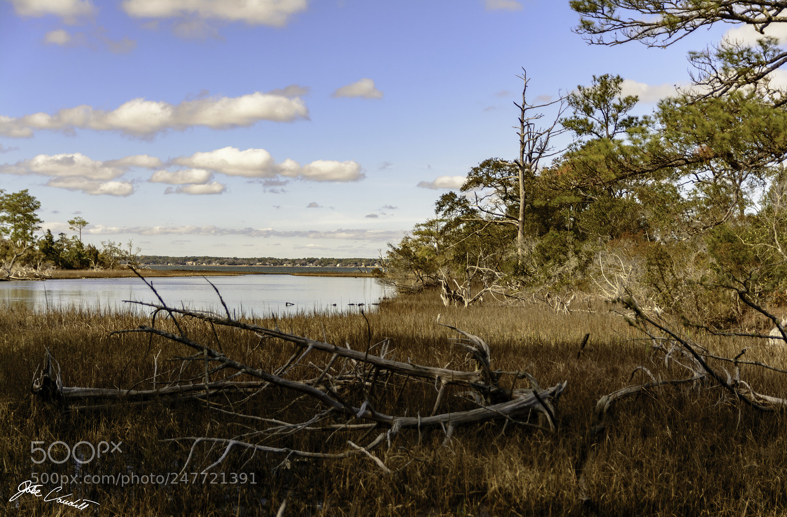 Nikon D5200 sample photo. Bogue sound photography