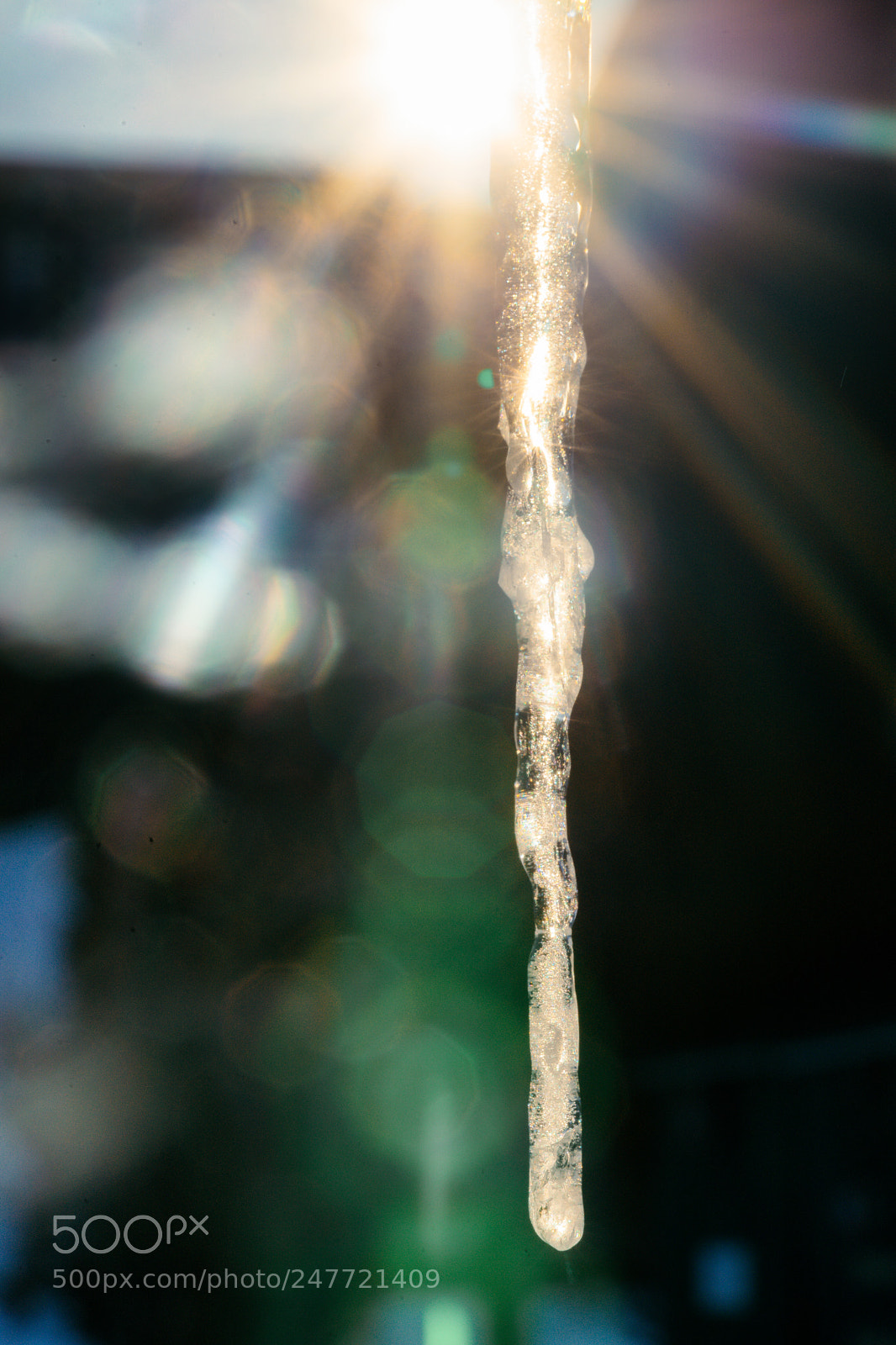Sony a7 sample photo. Ice photography