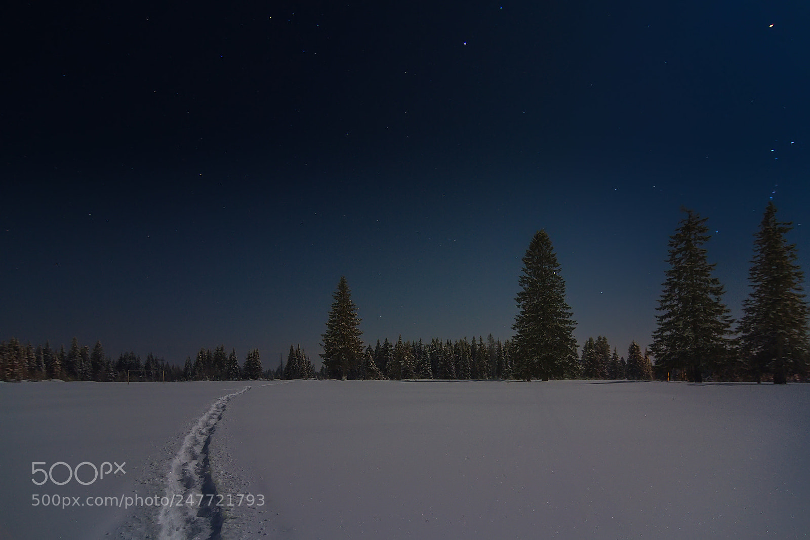 Canon EOS 7D sample photo. Night walk photography