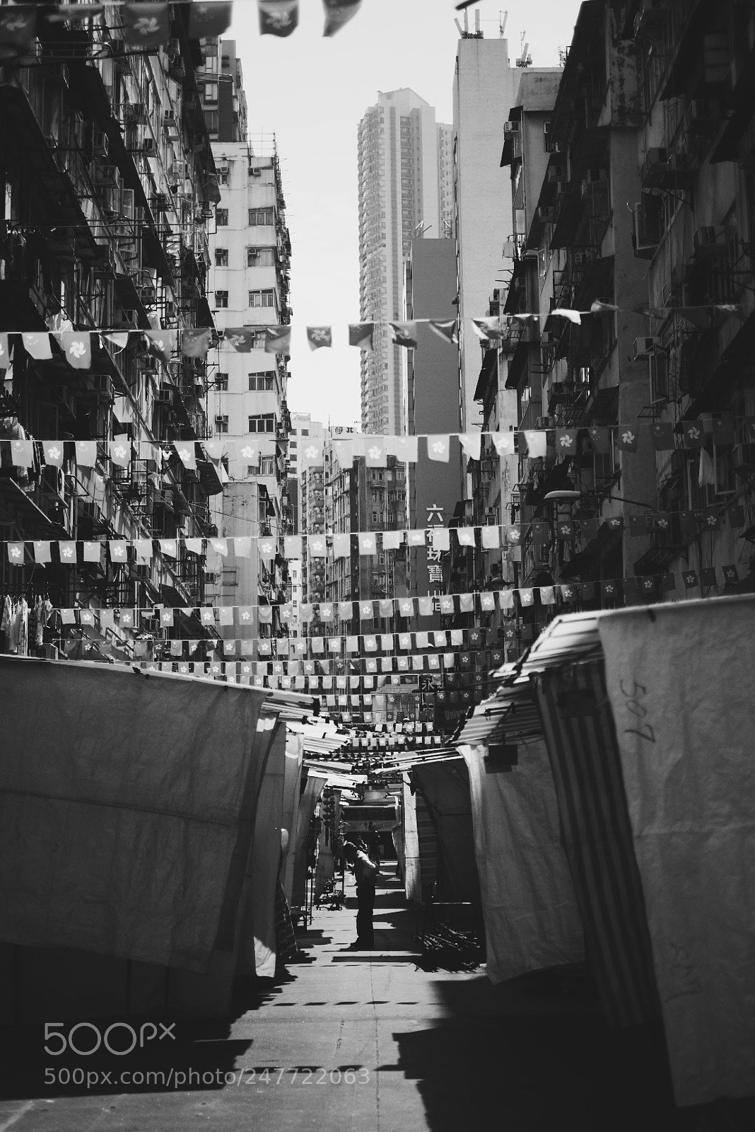 Fujifilm X-T2 sample photo. Petrified adolescence photography