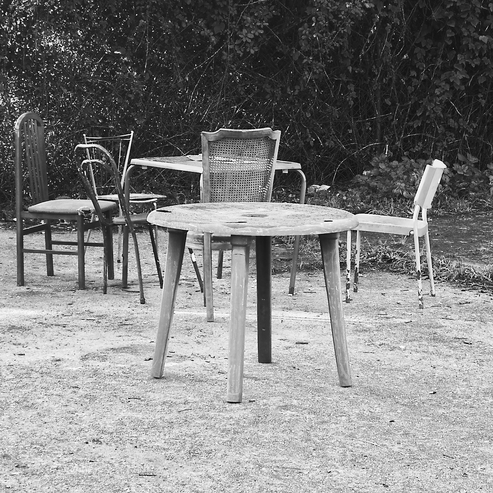 HUAWEI P10 sample photo. Ready for a picnic? photography
