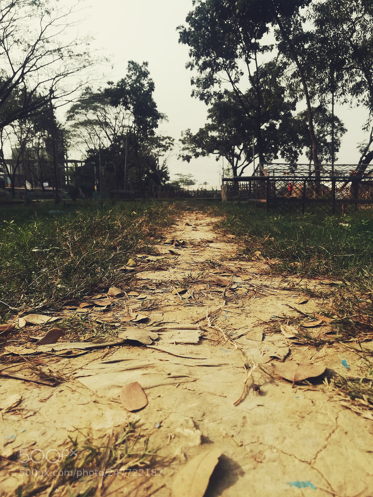 HUAWEI GR5 2017 sample photo. Untitled photography
