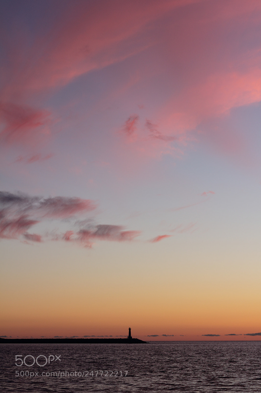 Canon EOS 60D + Canon EF 50mm F1.8 STM sample photo. Untitled photography