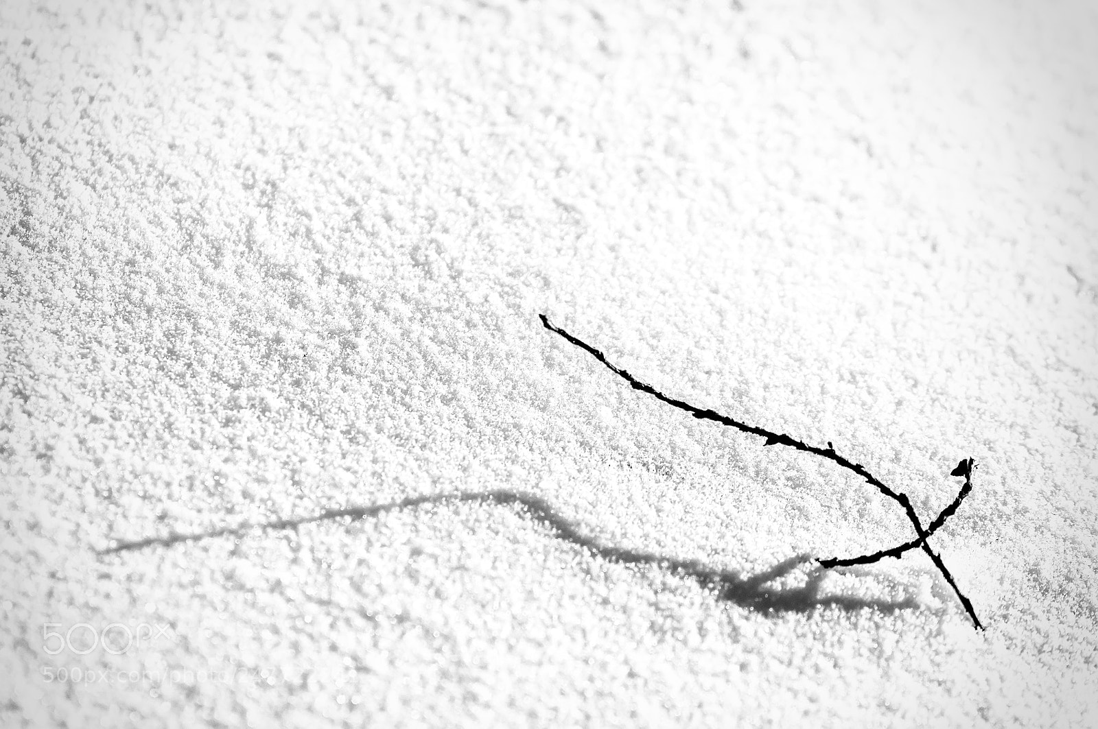 Nikon D300S sample photo. 1.jpg photography