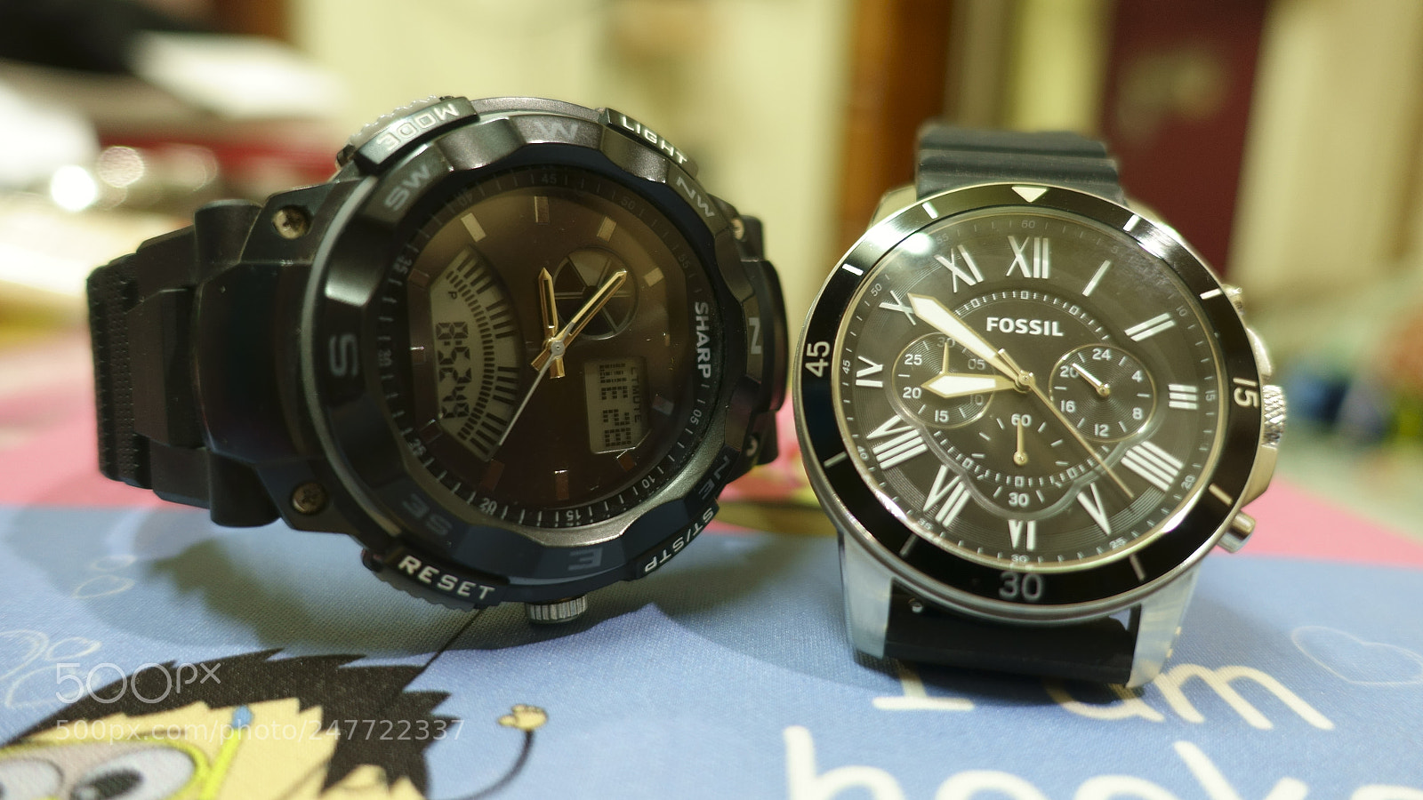 Sony Cyber-shot DSC-RX100 III sample photo. Sharp fossil photography