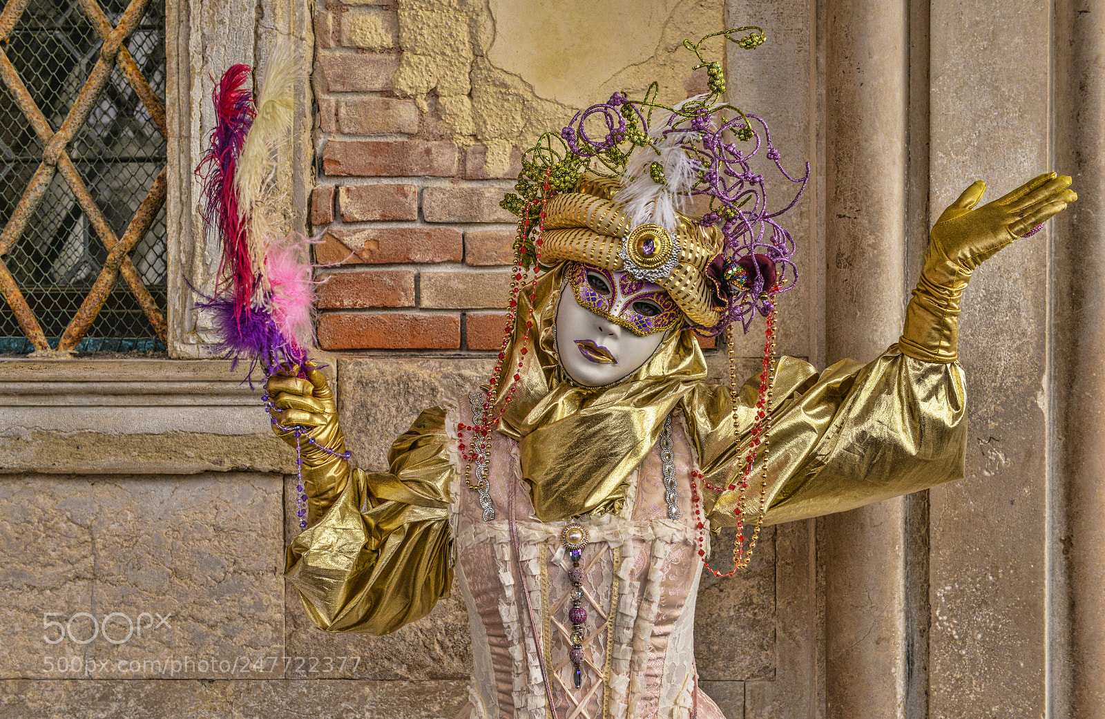 Nikon D800 sample photo. Who is behin the photography