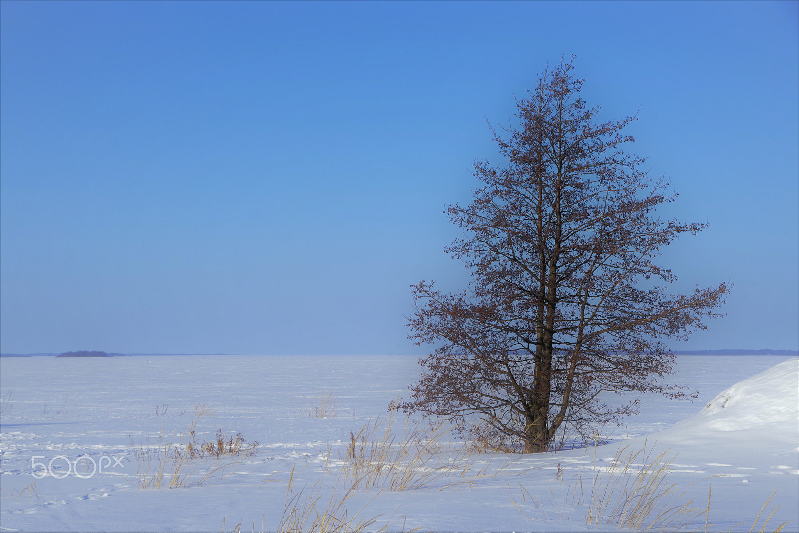 Pentax K-1 sample photo. Far far away photography