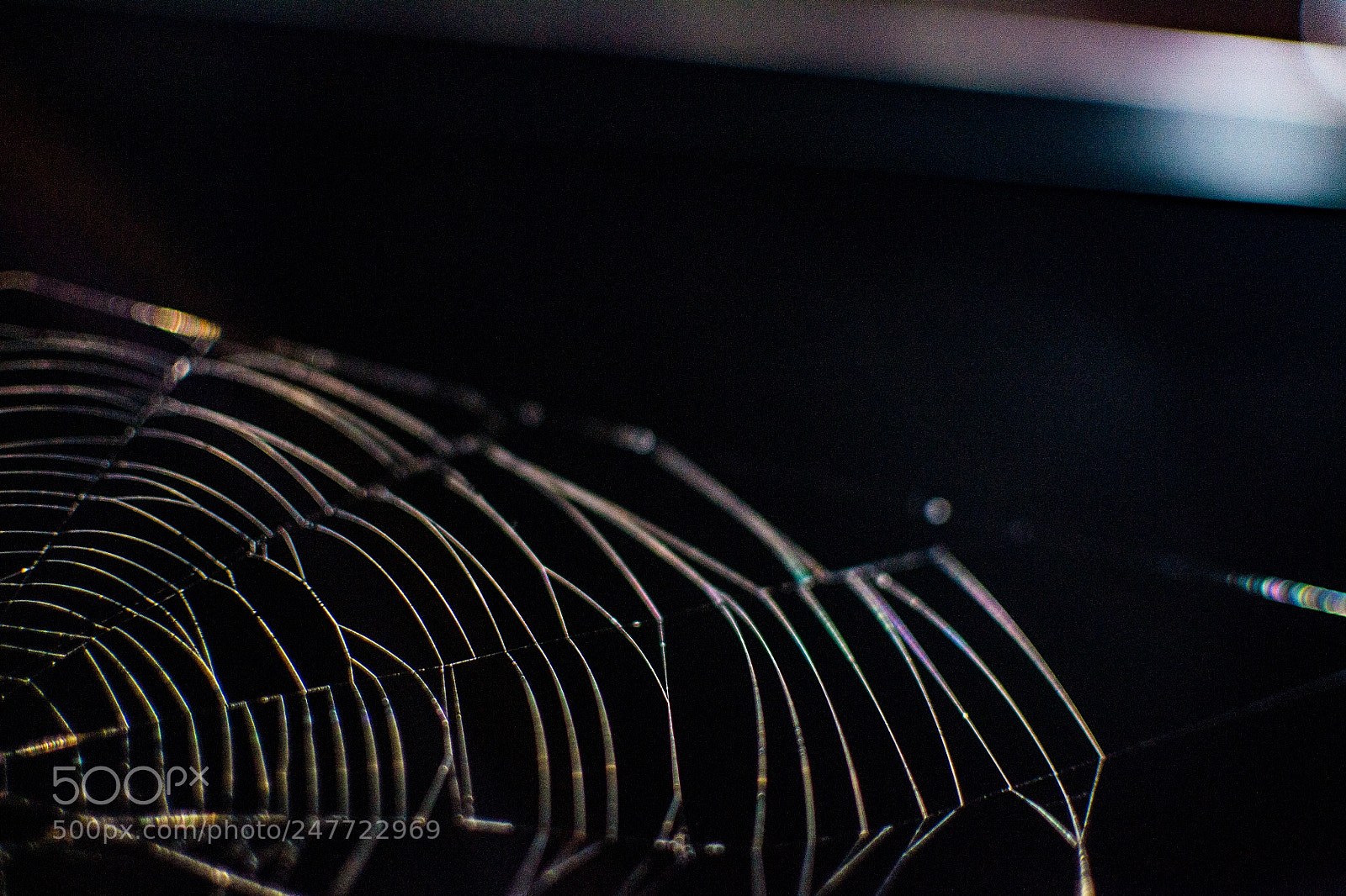 Nikon D3100 sample photo. Untitled photography