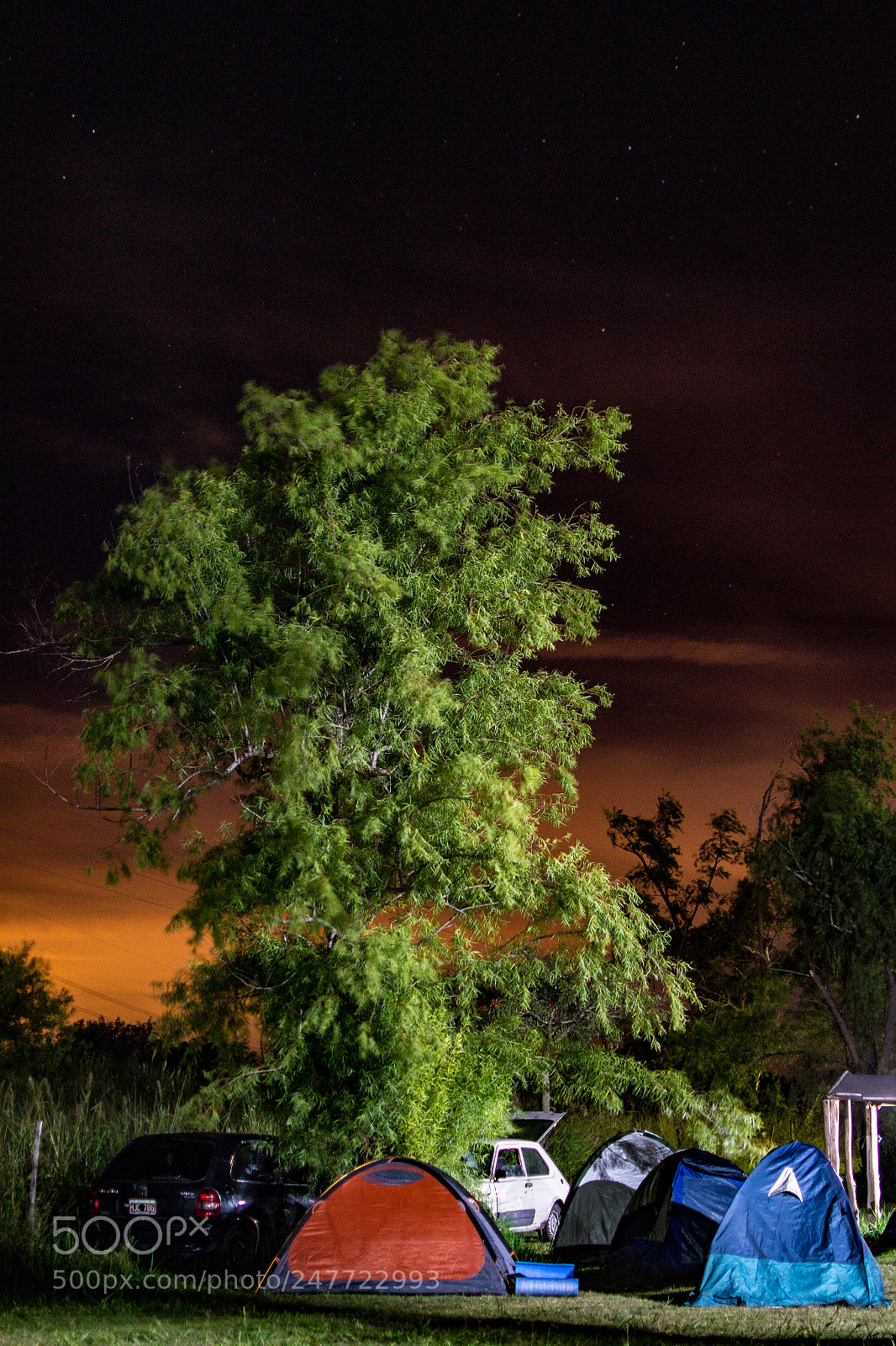 Nikon D3100 sample photo. Untitled photography