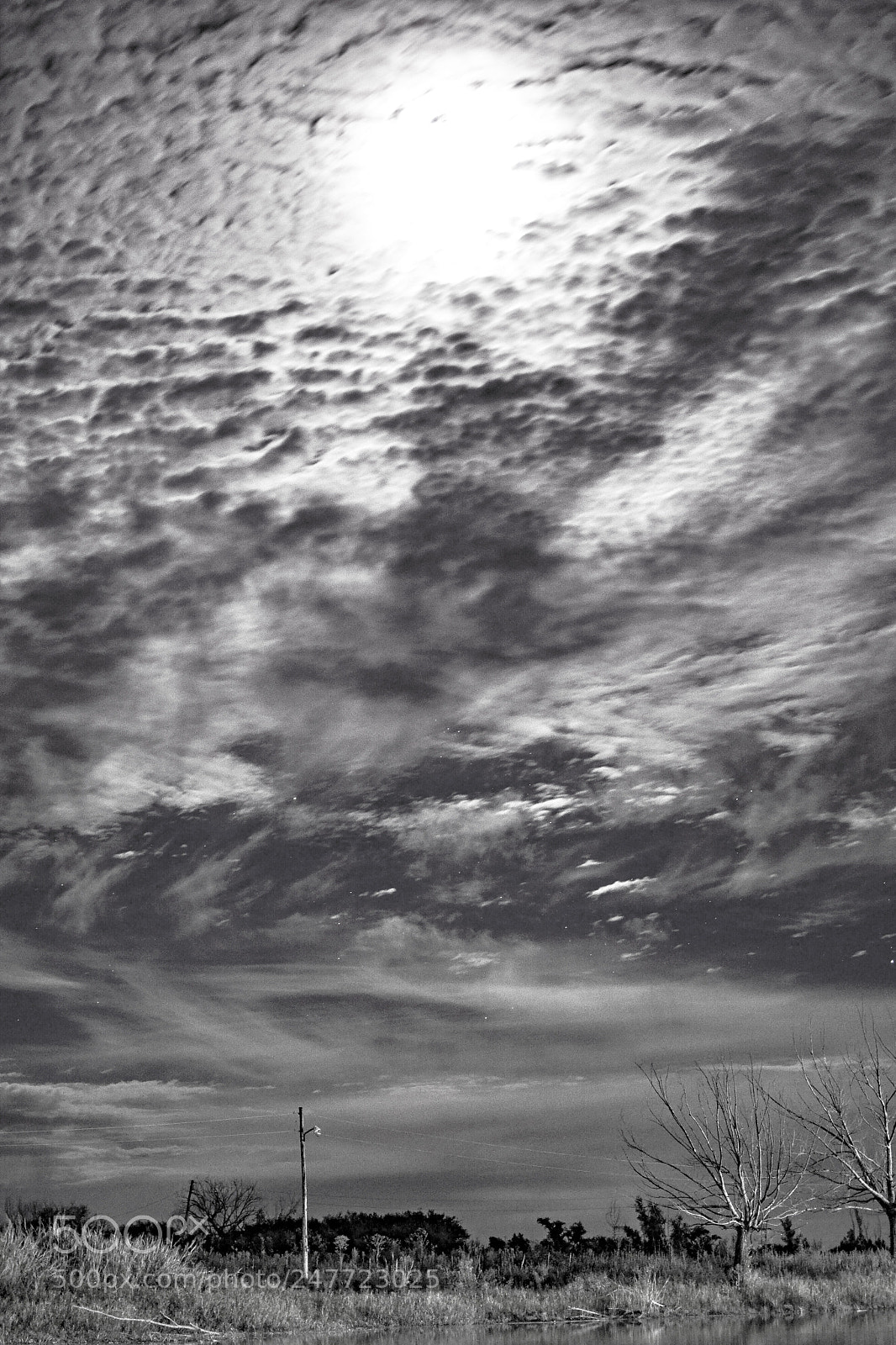 Nikon D3100 sample photo. Untitled photography