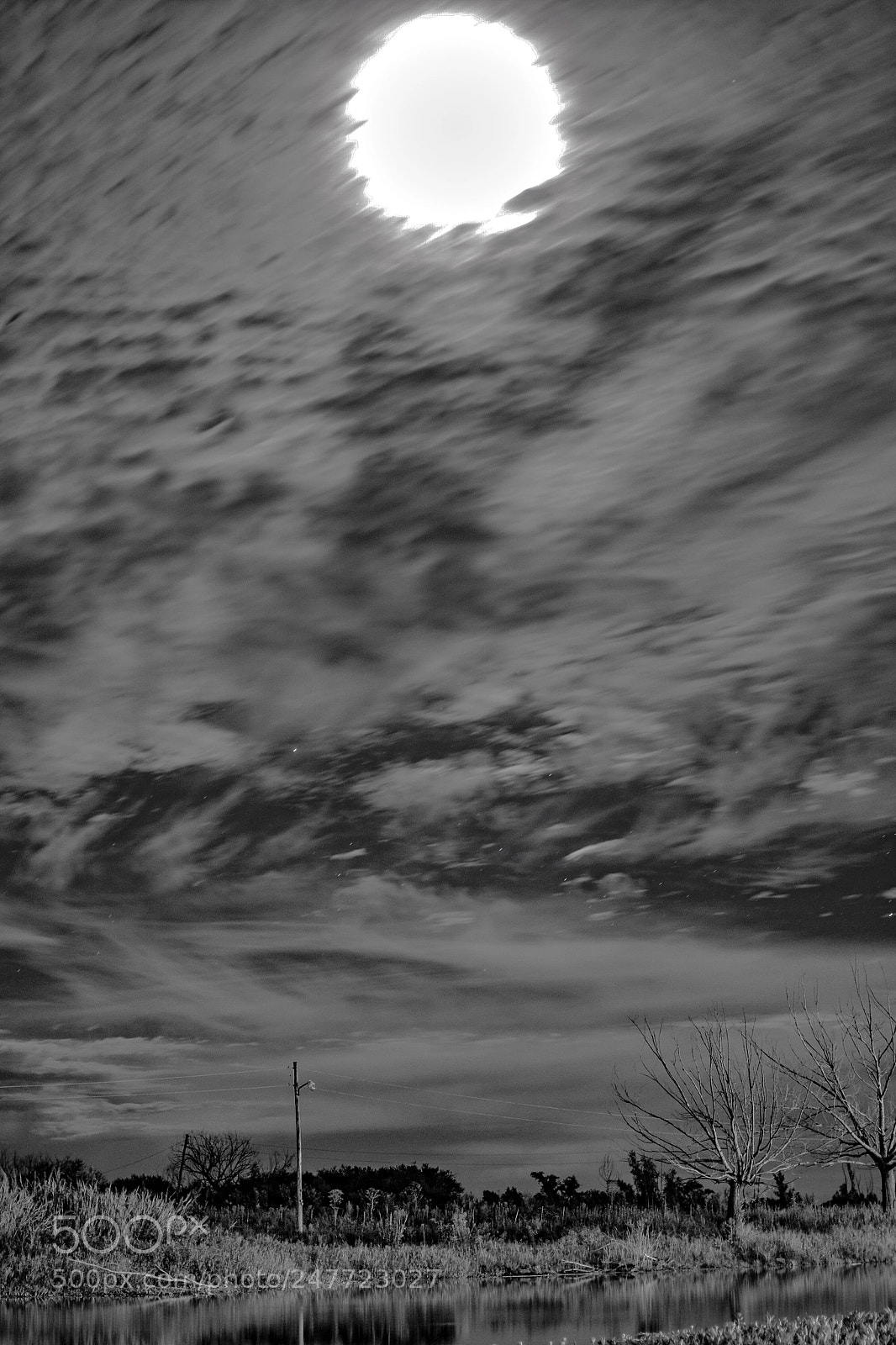 Nikon D3100 sample photo. Untitled photography