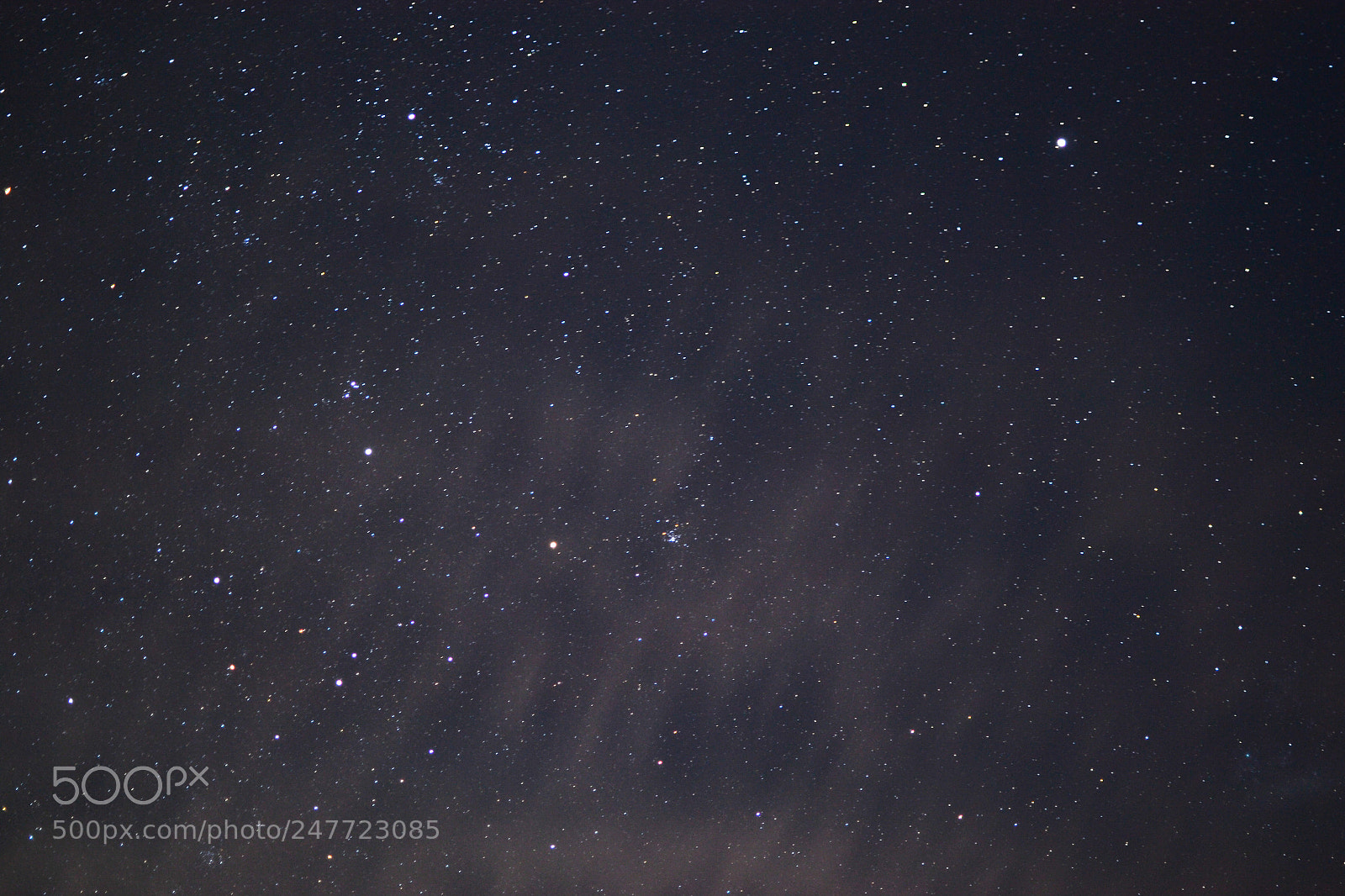 Nikon D3100 sample photo. Untitled photography