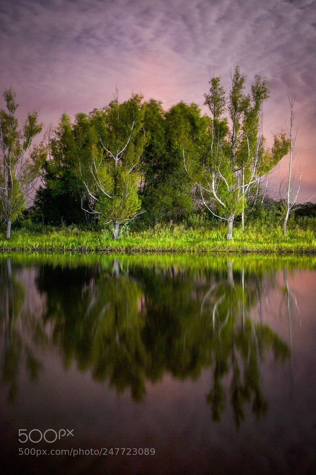 Nikon D3100 sample photo. Untitled photography