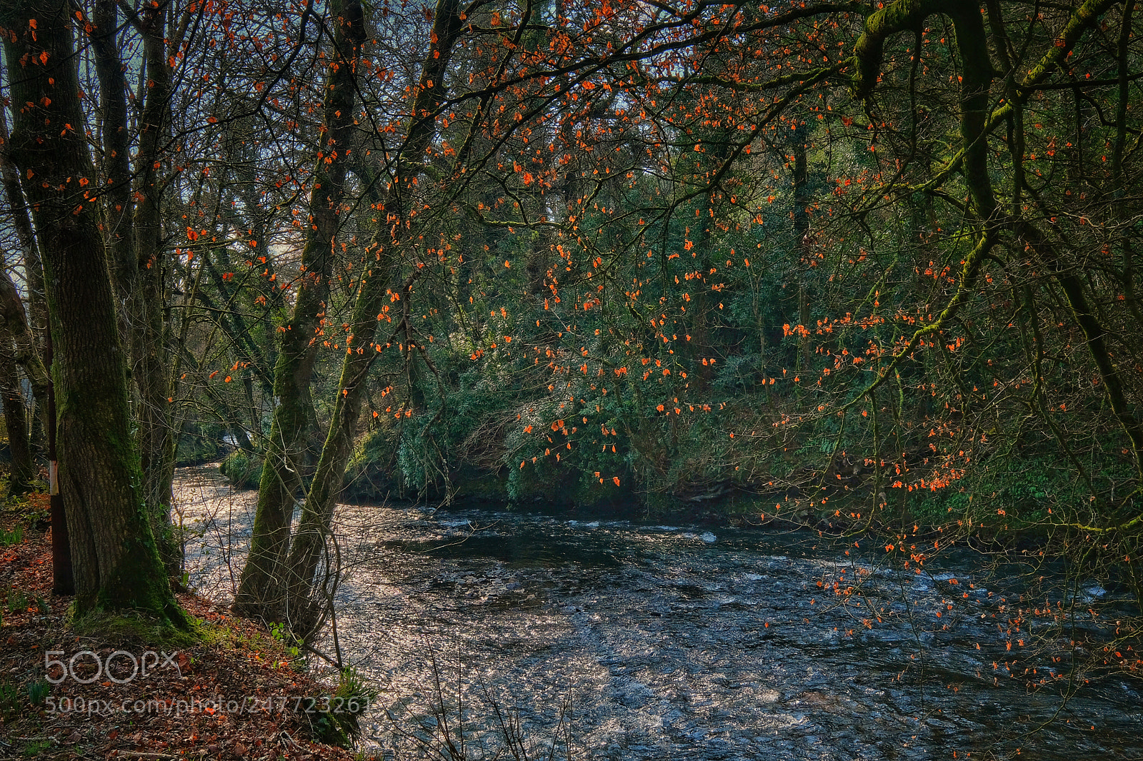 Fujifilm X-T2 sample photo. Untitled photography