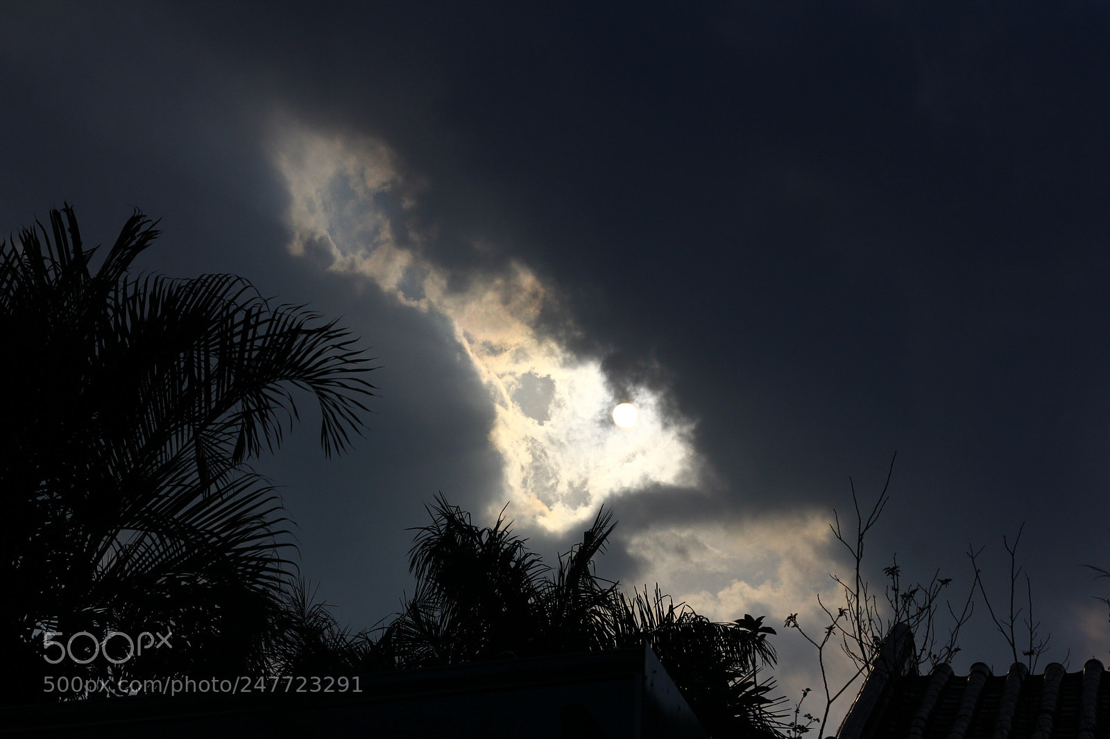 Canon EOS 60D + Canon EF 50mm F1.8 STM sample photo. Sunset photography