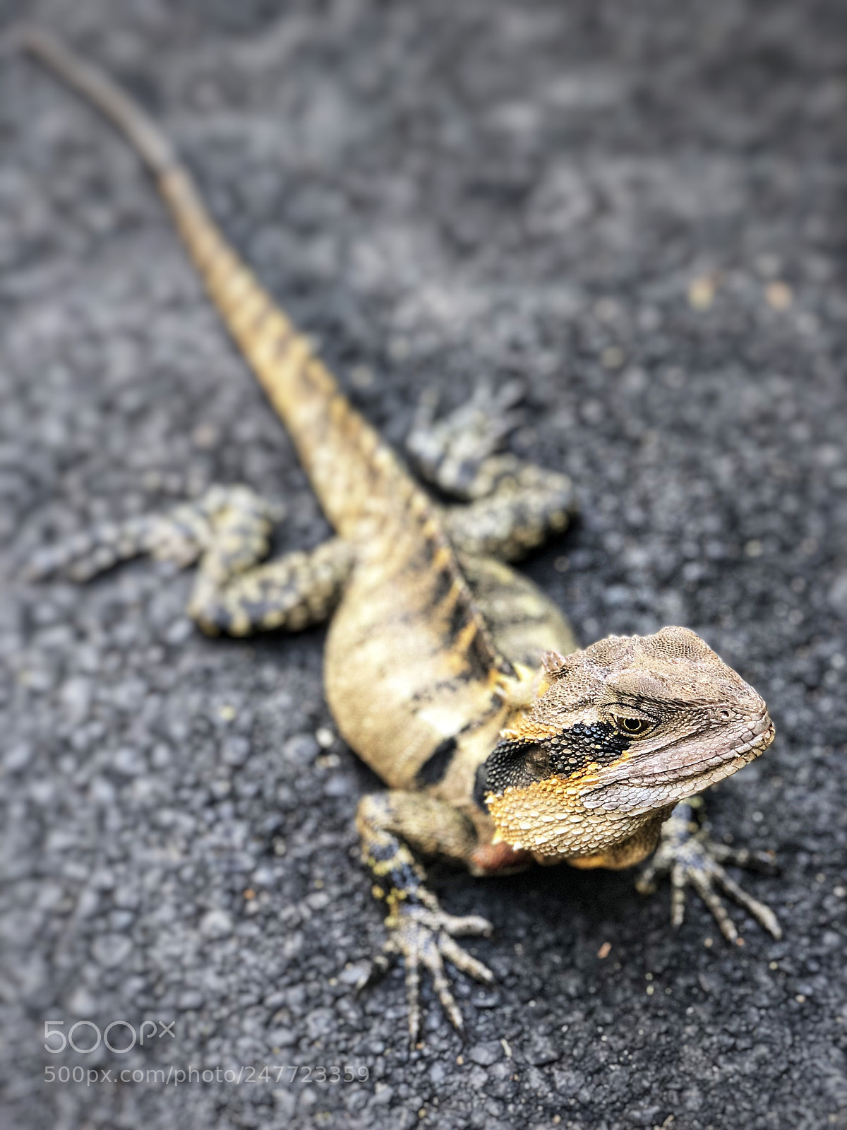 Apple iPhone X sample photo. Photo shot on iphone photography