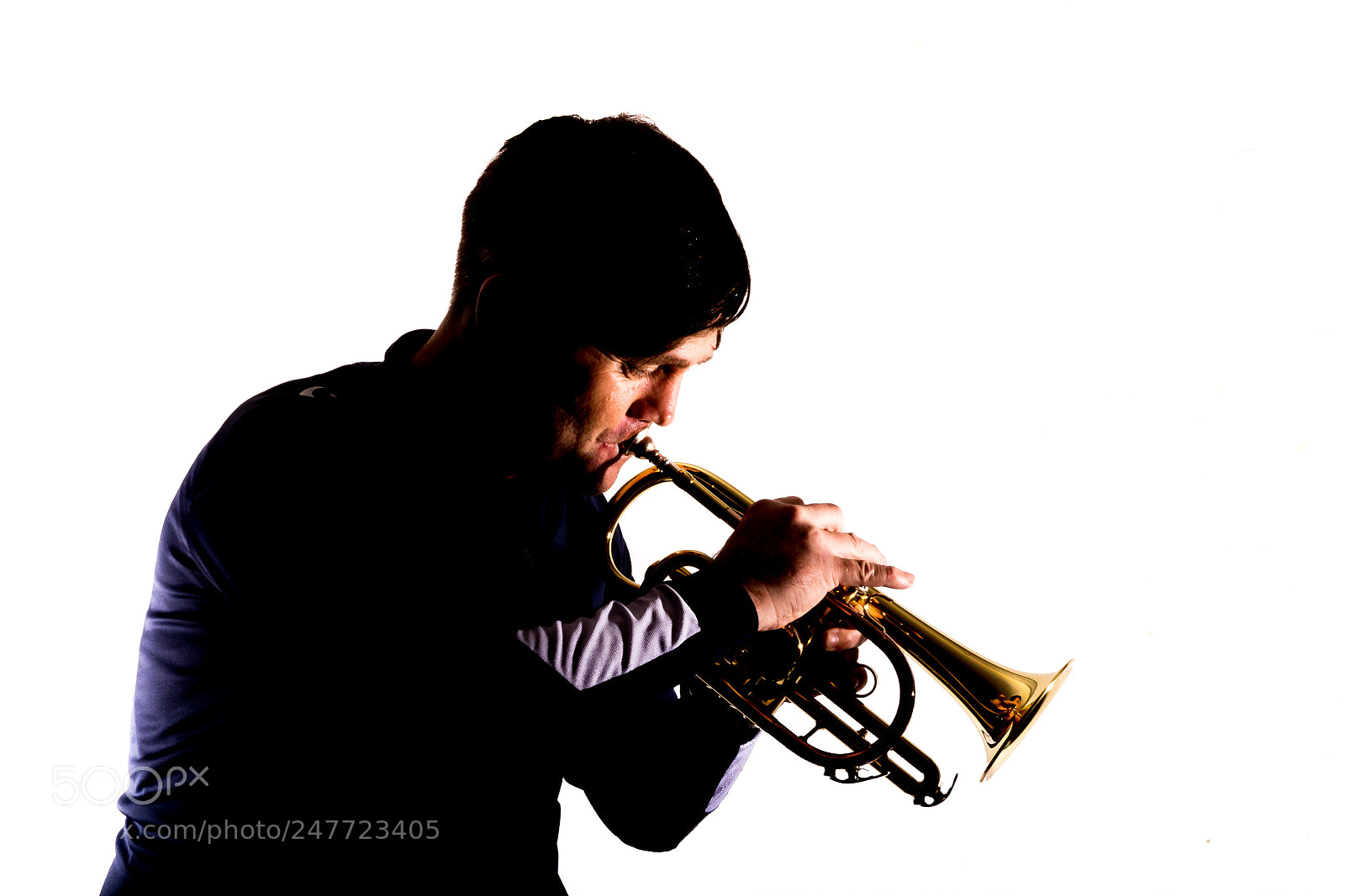 Canon EOS 650D (EOS Rebel T4i / EOS Kiss X6i) sample photo. The cornettist photography