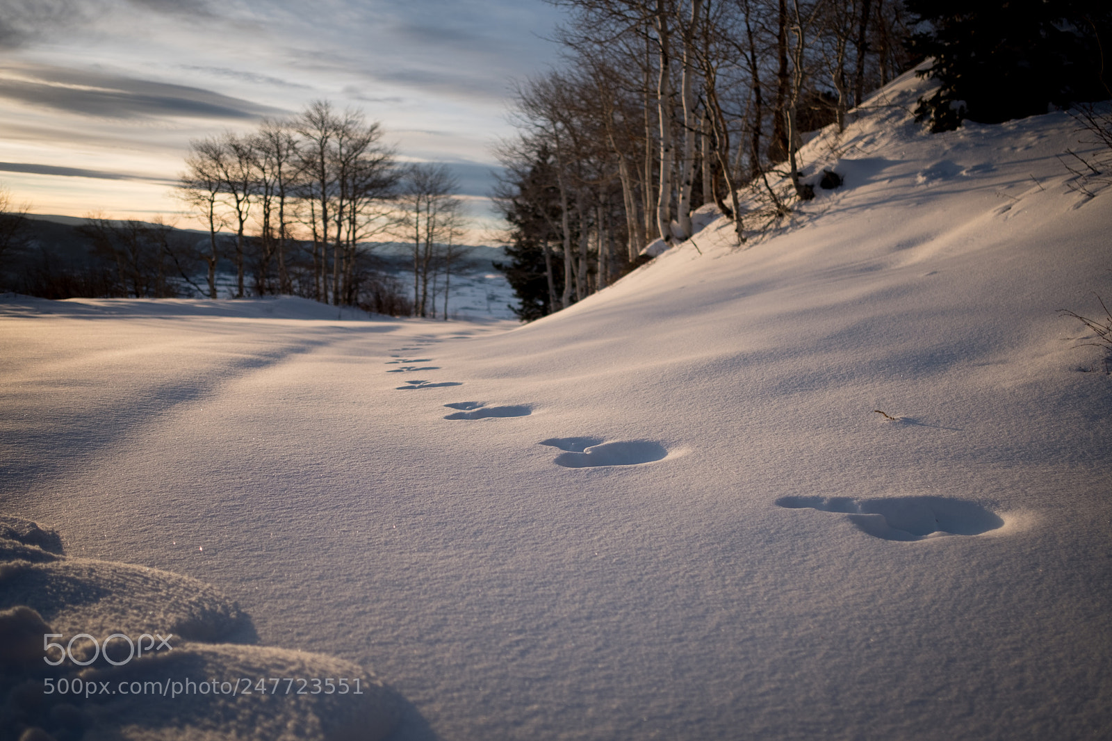Fujifilm X-T2 sample photo. Tracks on the snow photography