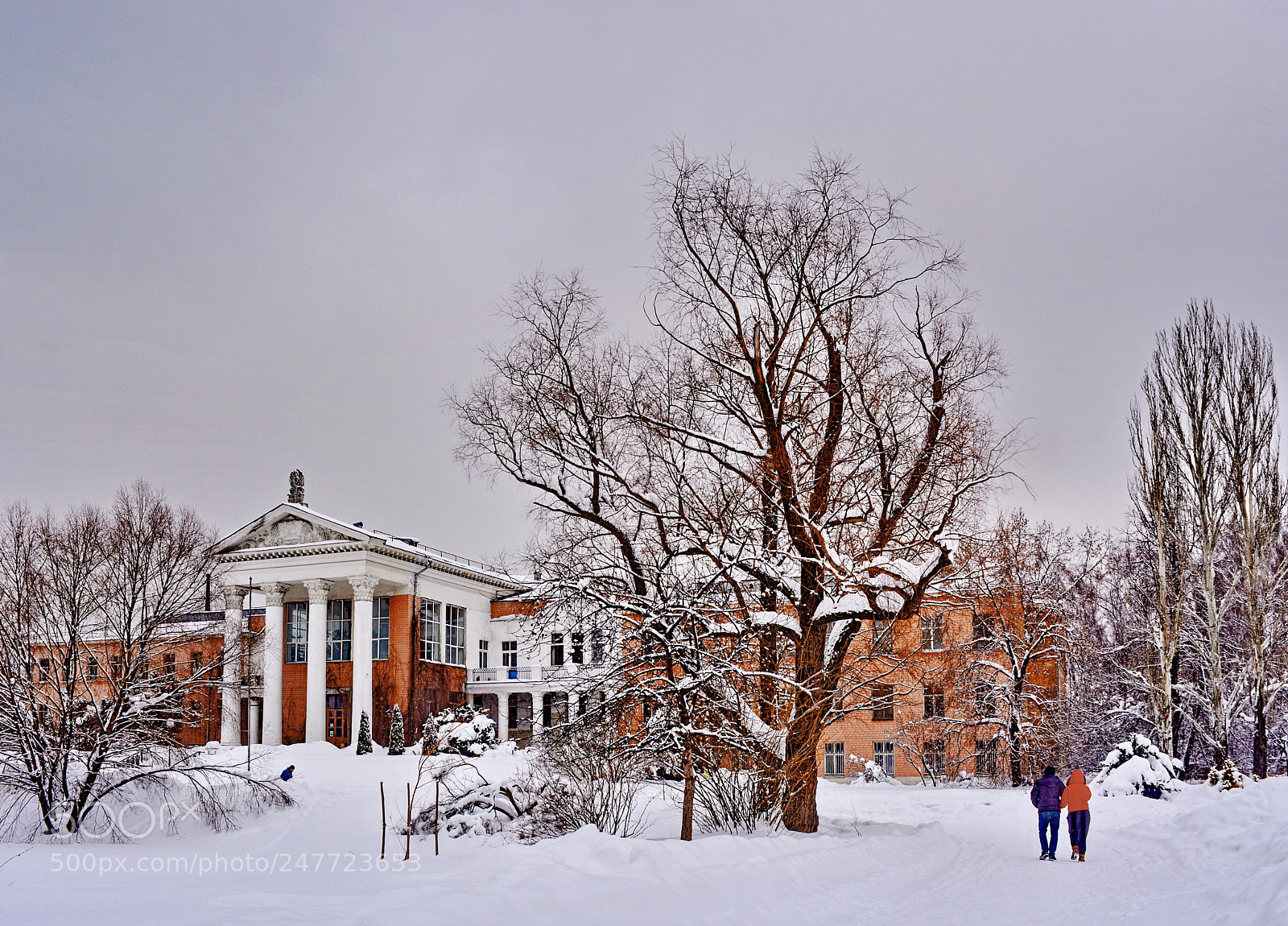 Nikon D5200 sample photo. Winter walk photography