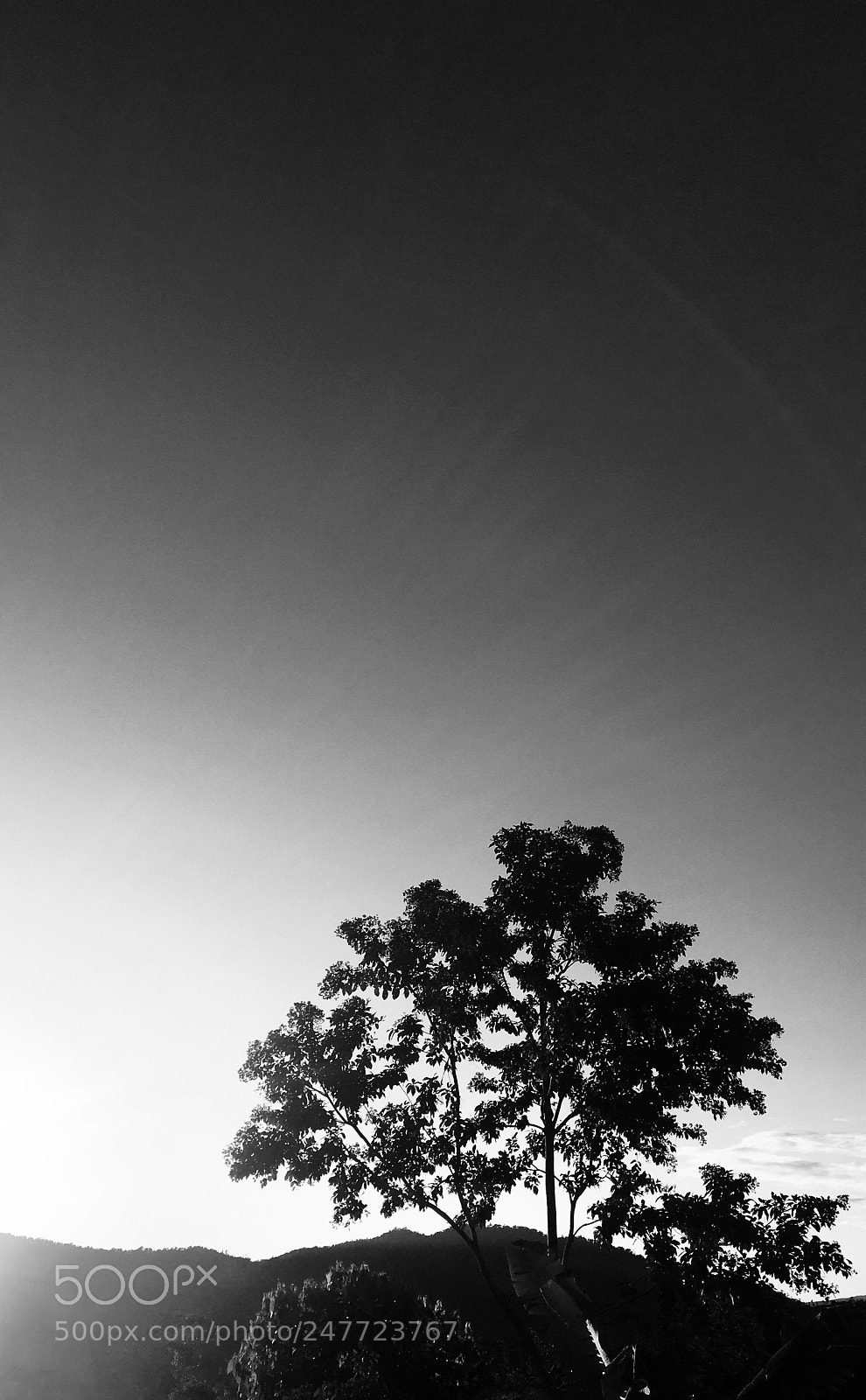 Apple iPhone 6s sample photo. Untitled photography
