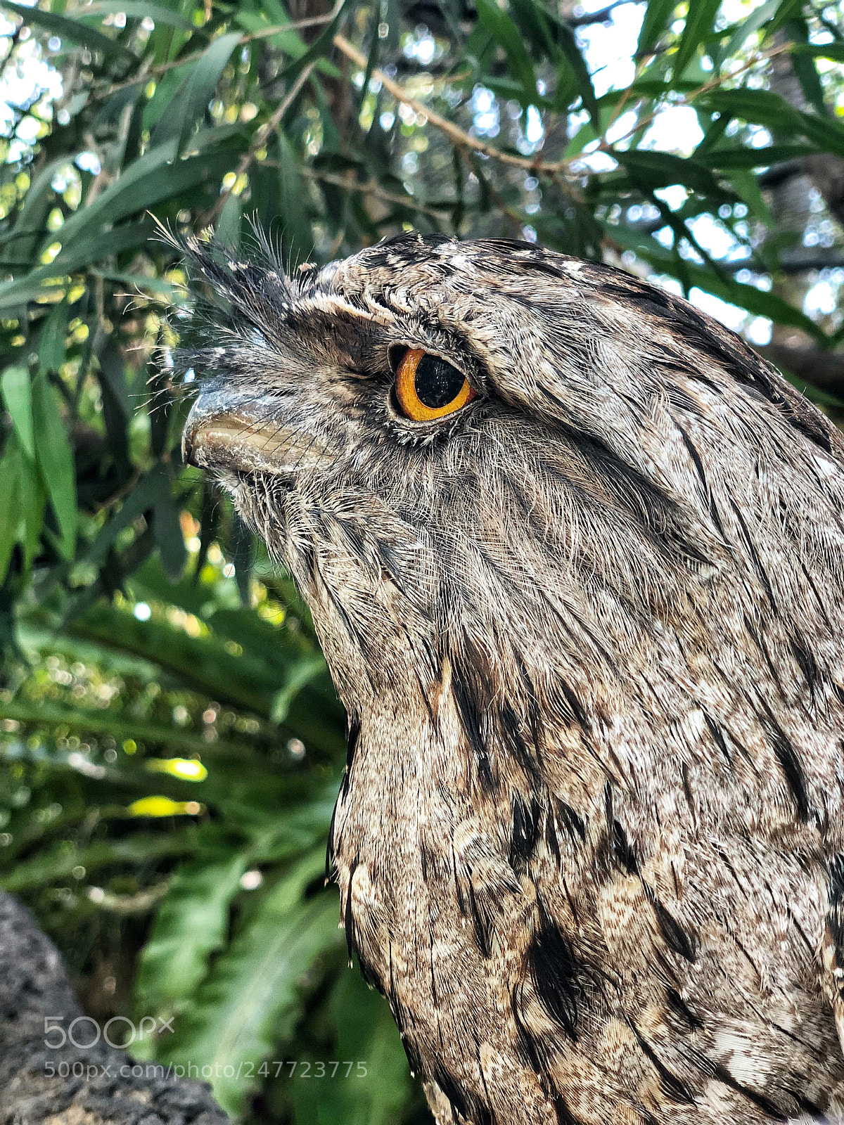 Apple iPhone X sample photo. Shot on a iphone photography