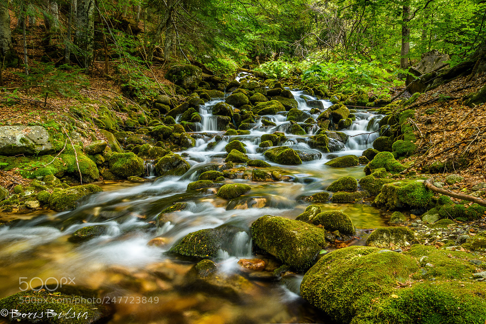 Nikon D7200 sample photo. Stream in pirin photography