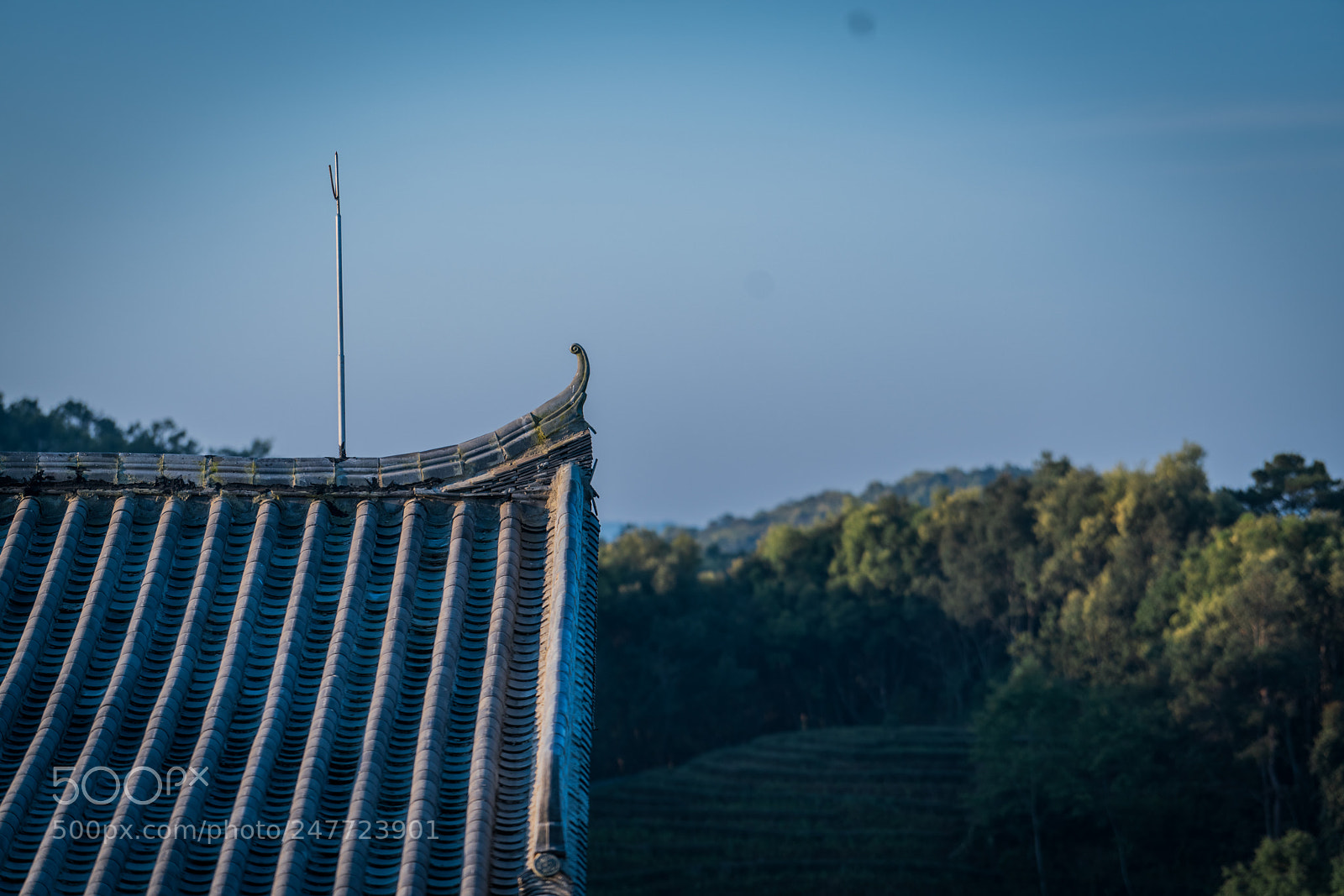 Sony a7R II sample photo. Dsc photography