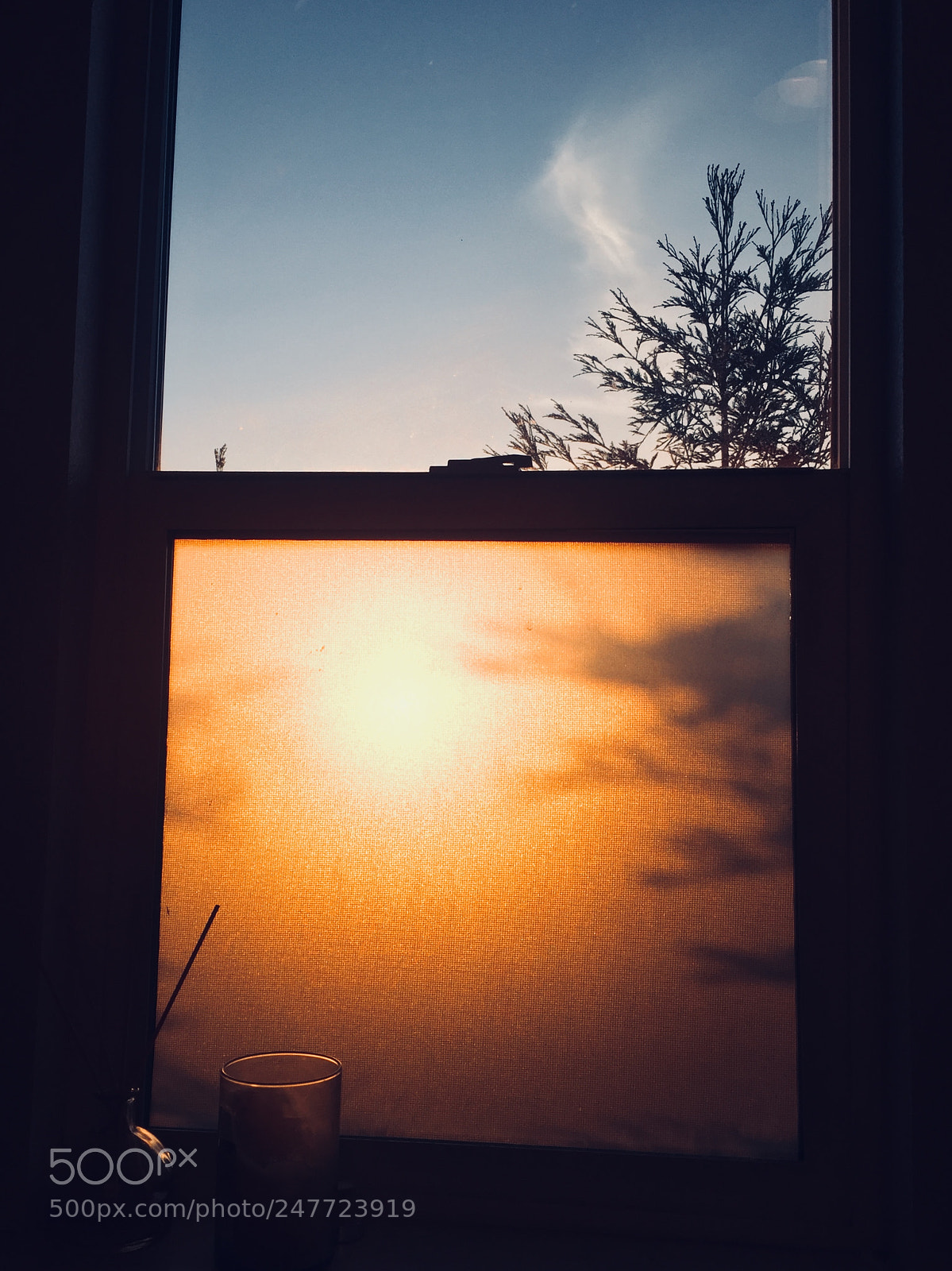 Apple iPhone 6 sample photo. Untitled photography