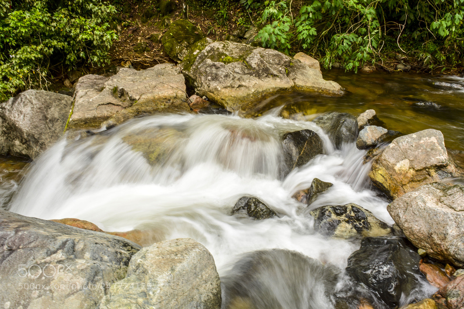 Nikon D7100 sample photo. Recanto das nascentes divinas photography