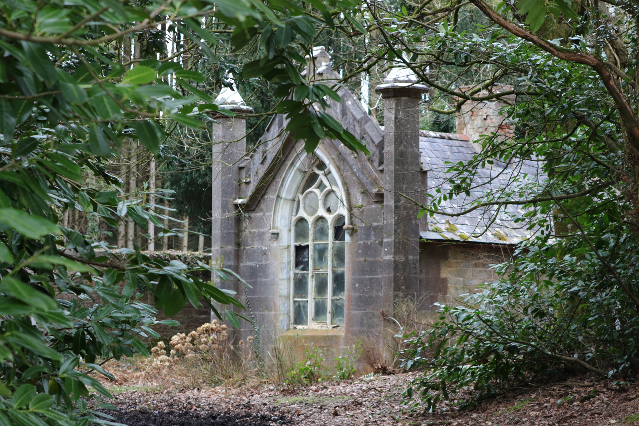 Canon EOS 760D (EOS Rebel T6s / EOS 8000D) sample photo. Gothic folly photography