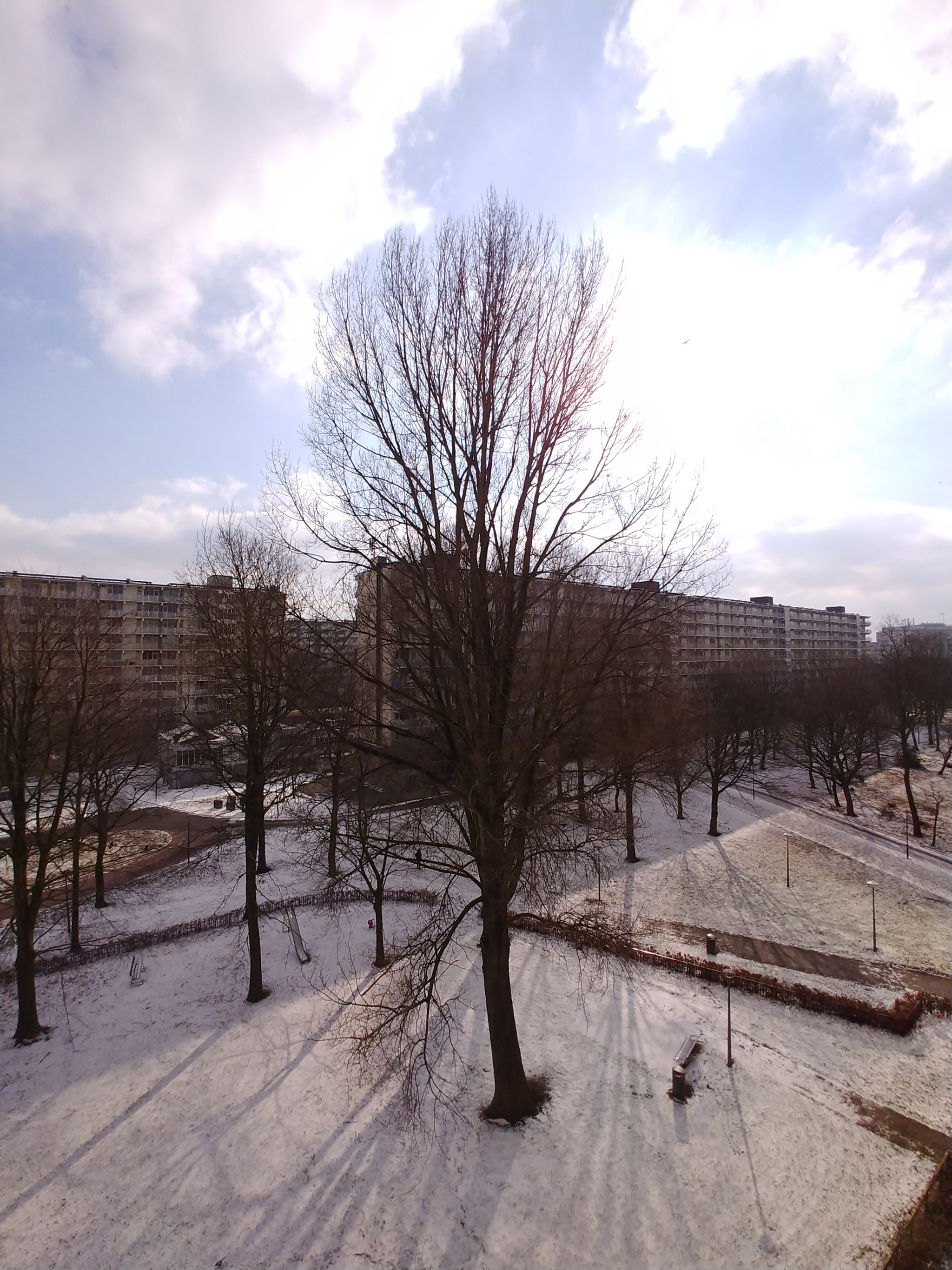 LG V30 sample photo. Cold days photography