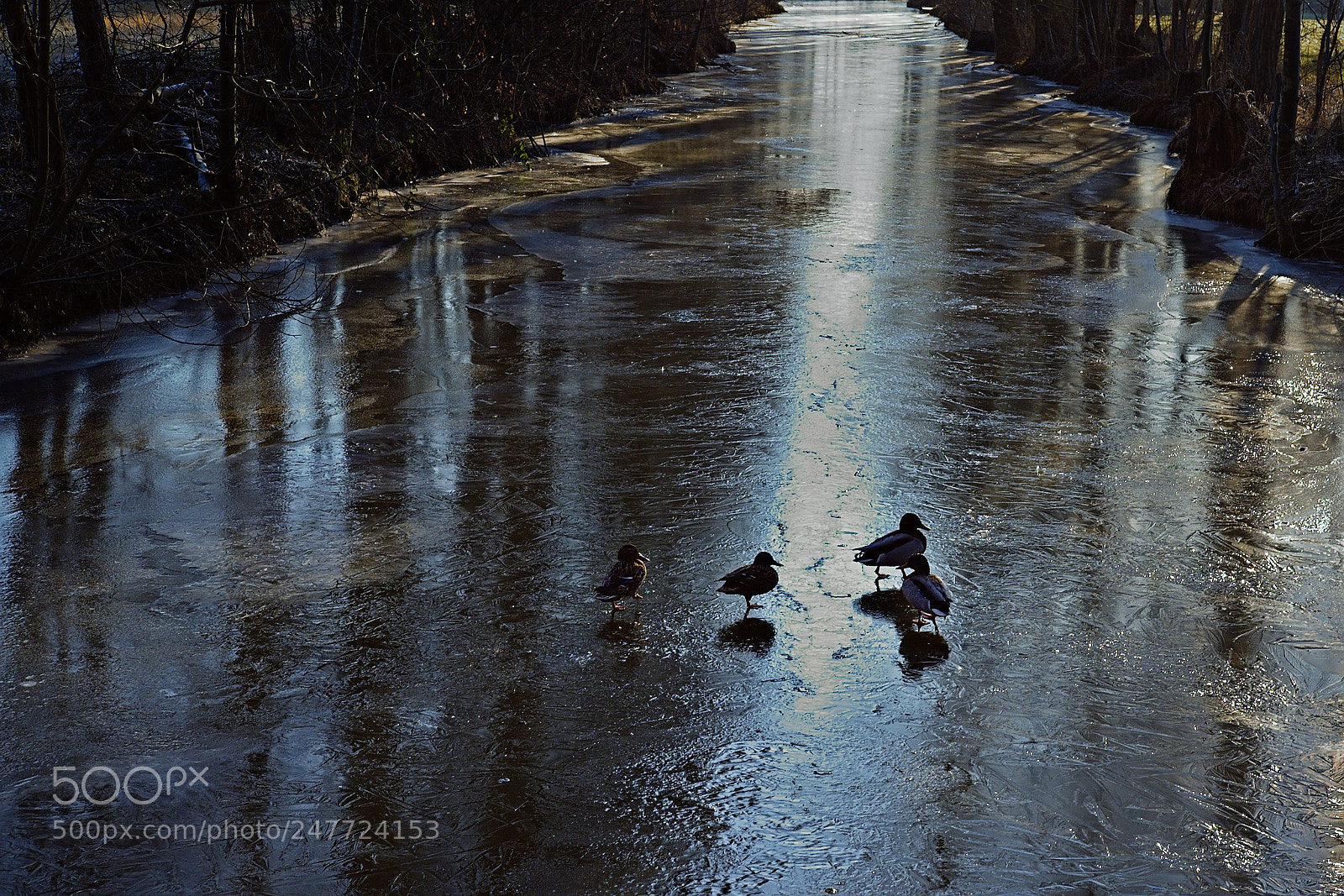 Fujifilm X-T10 sample photo. Ice walkers photography