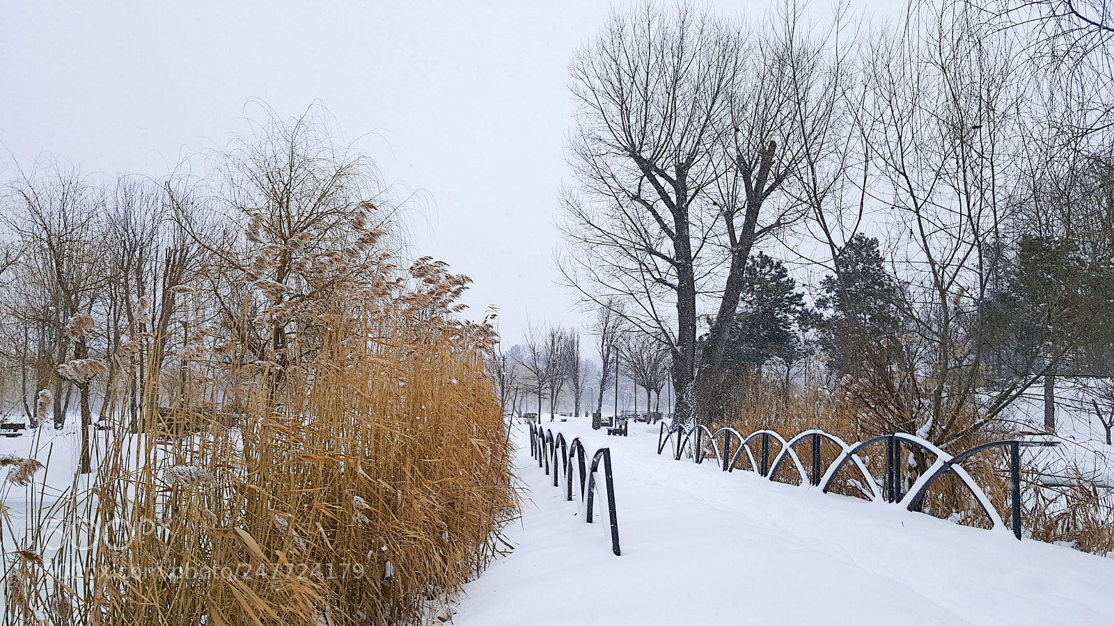 Samsung Galaxy S6 sample photo. Bridge covered by snow photography