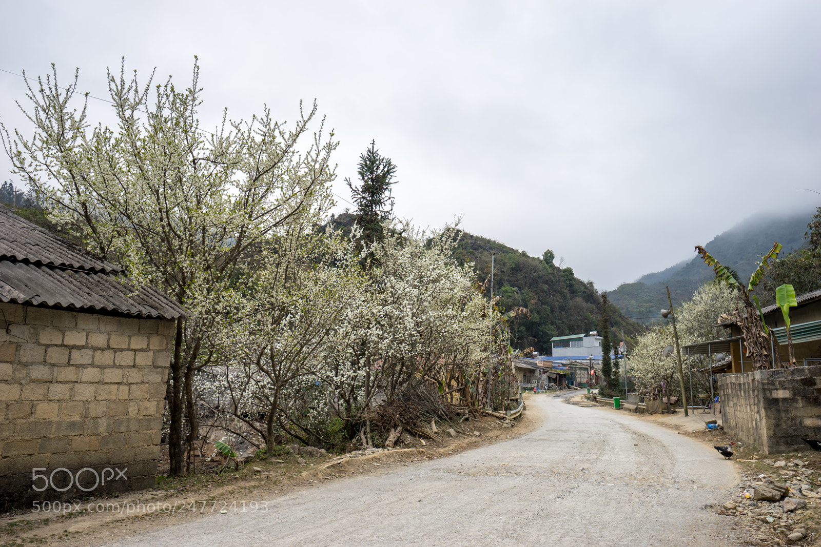 Sony a7 II sample photo. Dsc photography