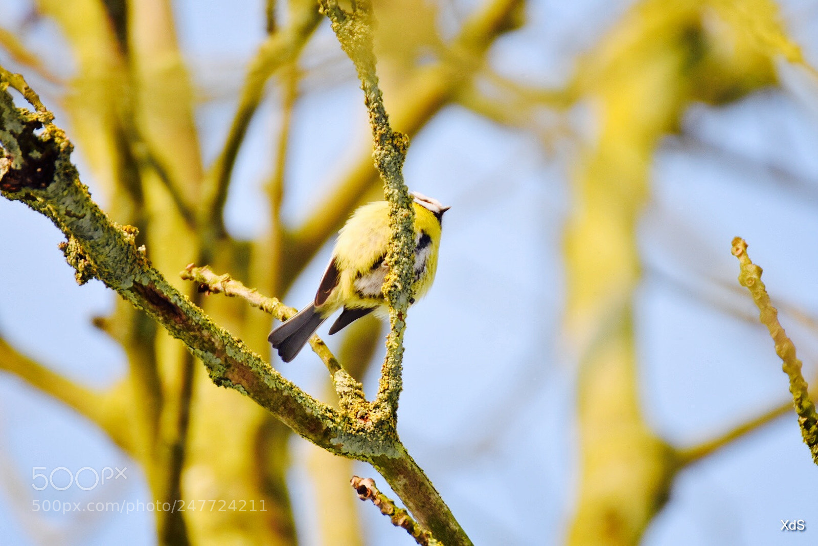 Nikon D3400 sample photo. Untitled photography