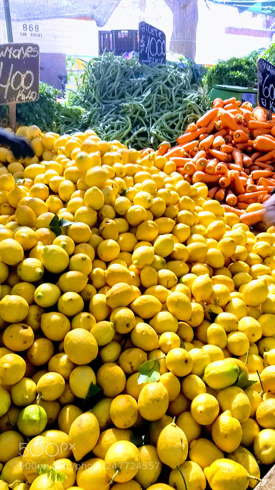 Motorola Moto G (5) Plus sample photo. When life gives you photography